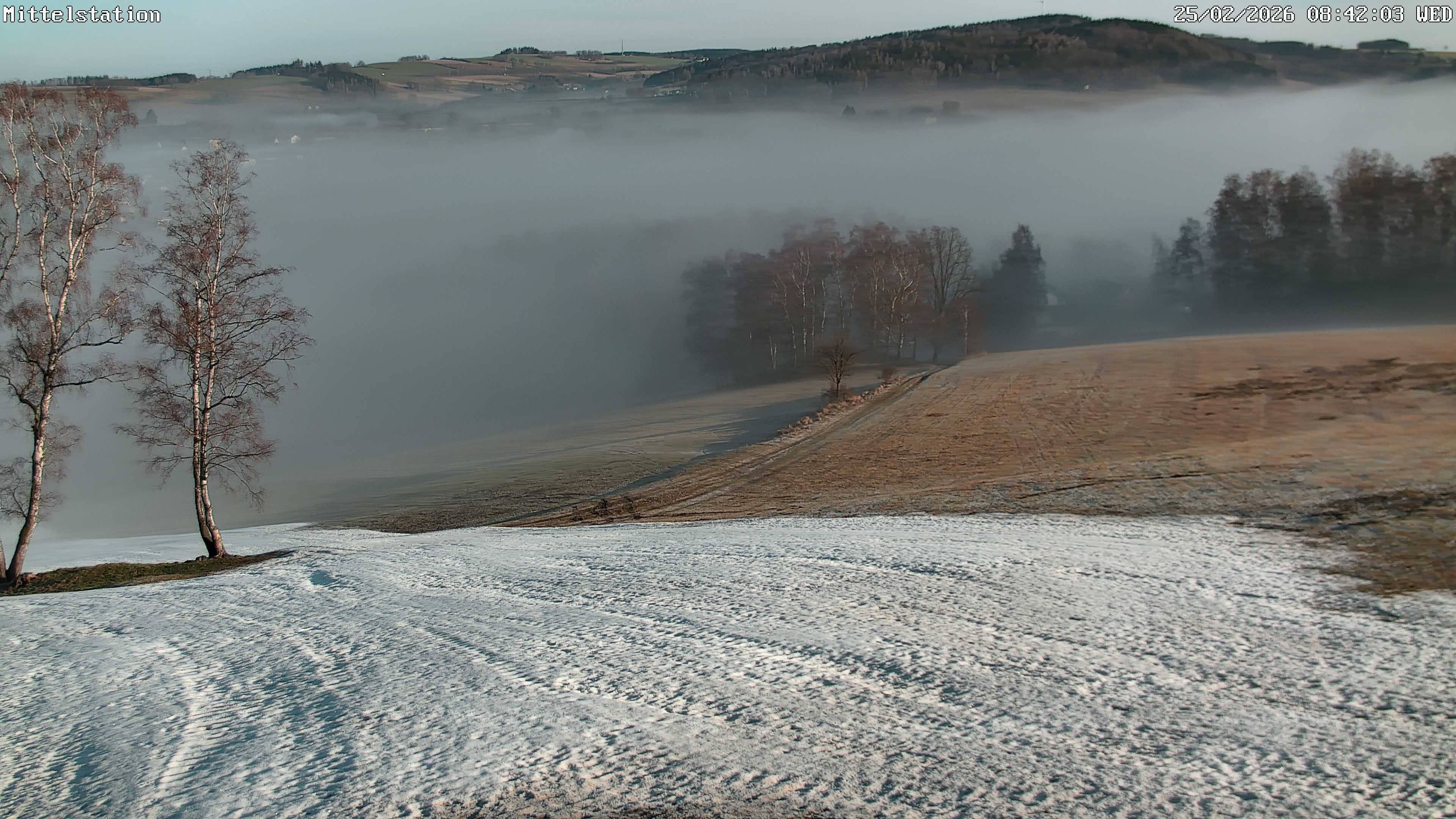 Archiv Foto Webcam Lössnitz: Skilift Mittelstation