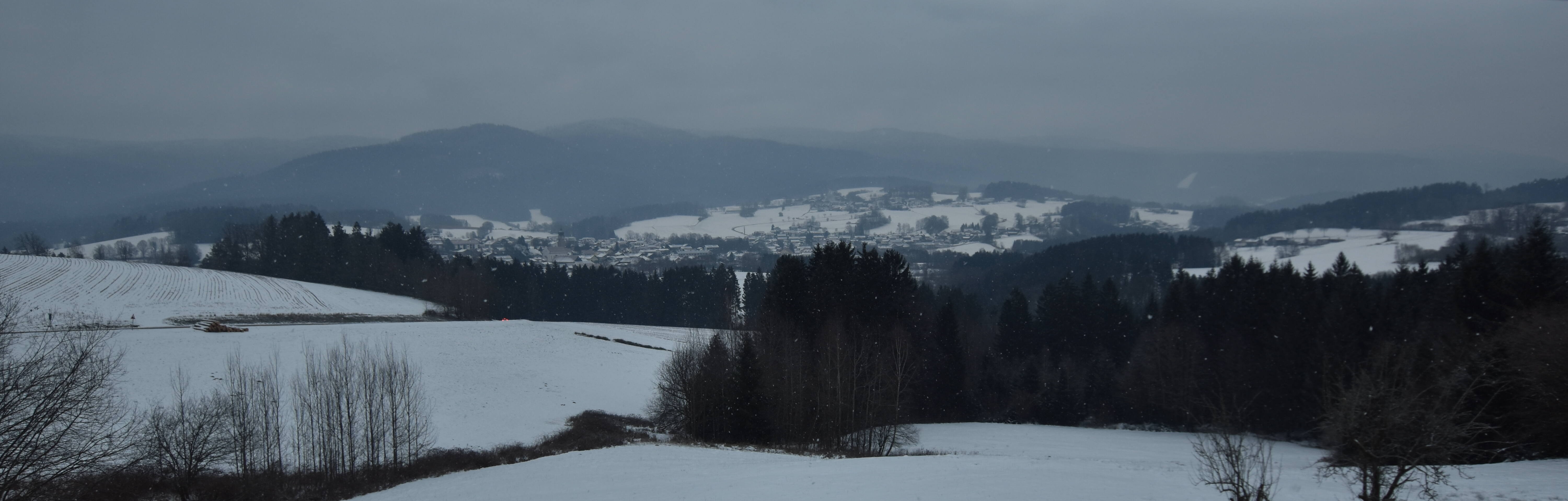 Archiv Foto Webcam Drachselsried / Lesmannsried