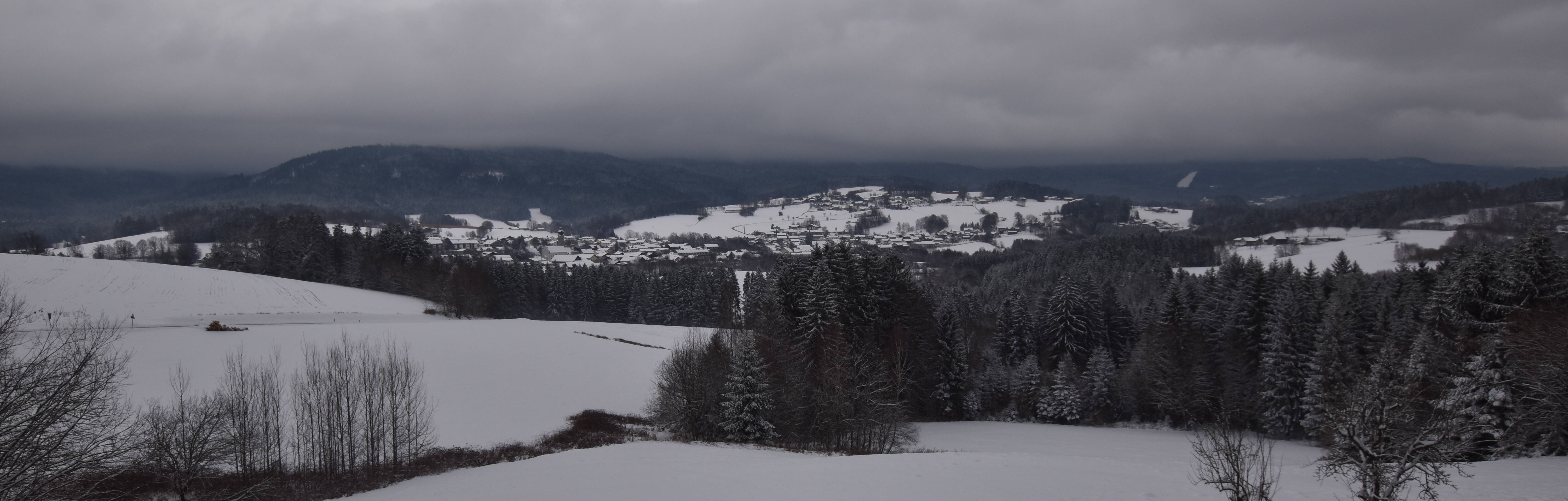 Archiv Foto Webcam Drachselsried / Lesmannsried