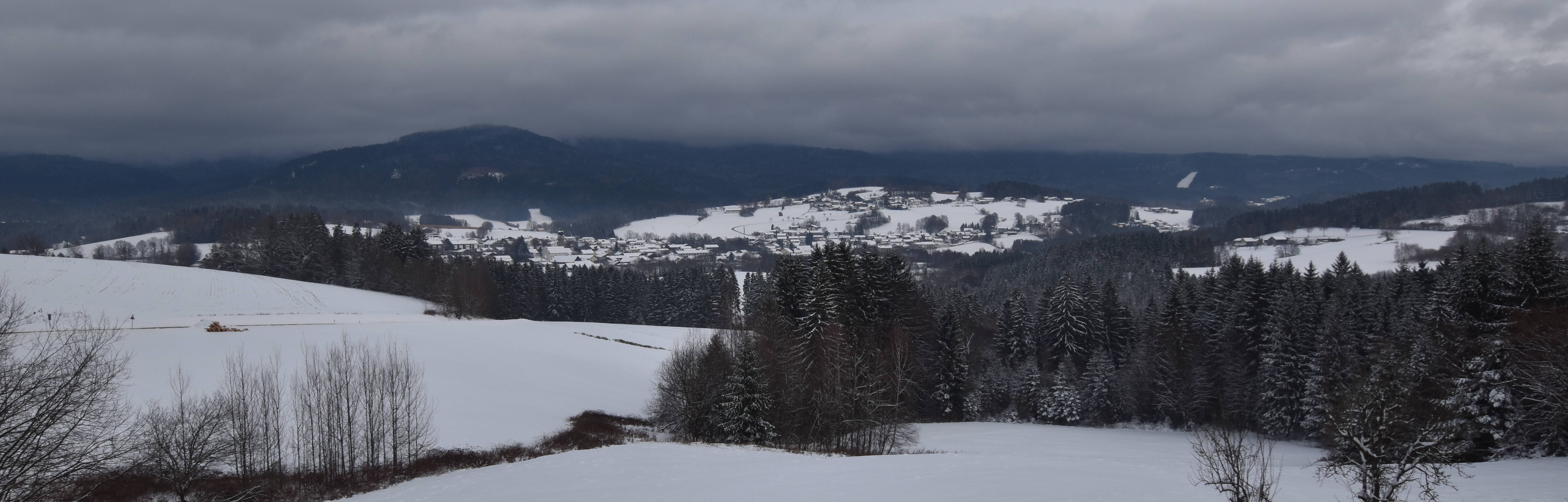 Archiv Foto Webcam Drachselsried / Lesmannsried