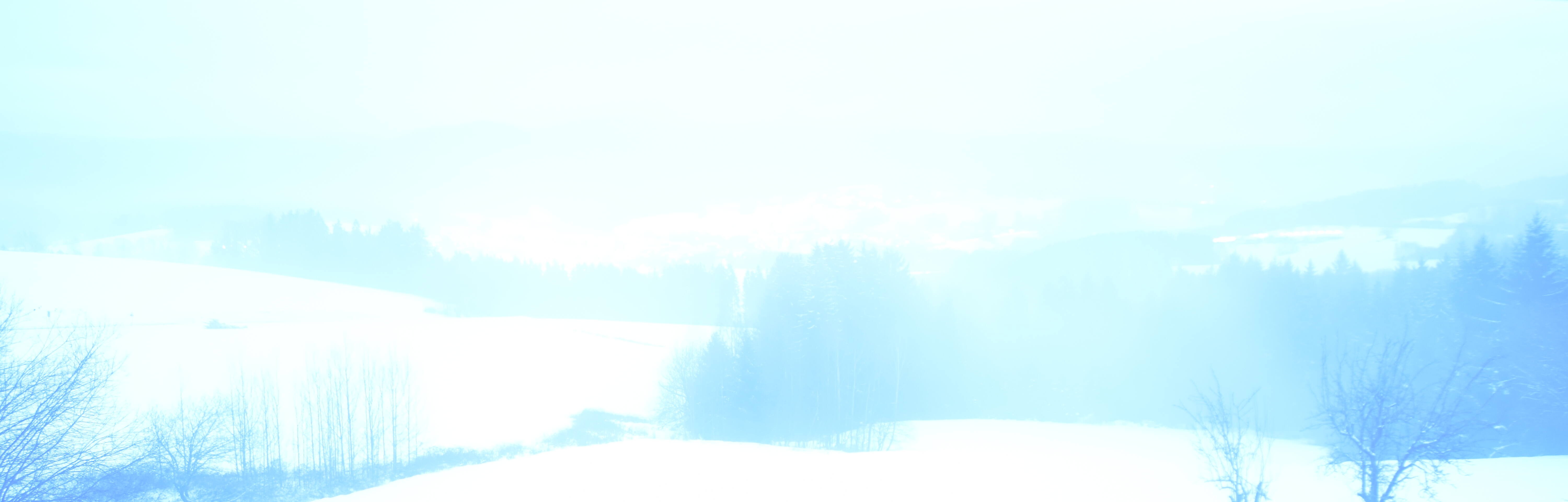 Archiv Foto Webcam Drachselsried / Lesmannsried