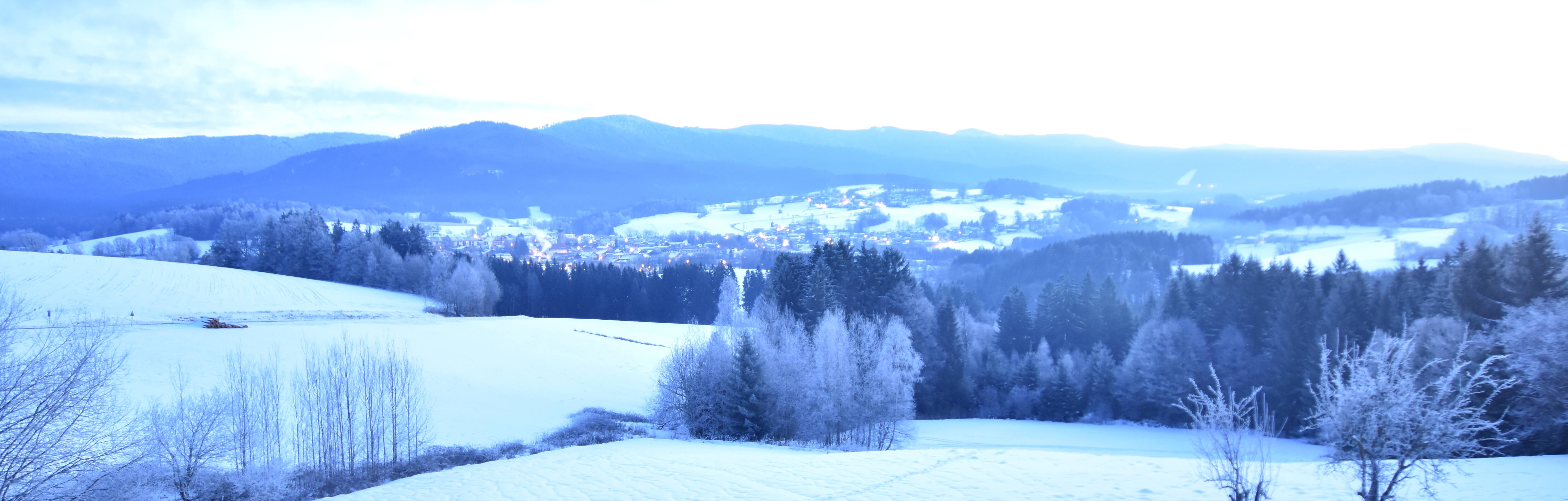 Archiv Foto Webcam Drachselsried / Lesmannsried