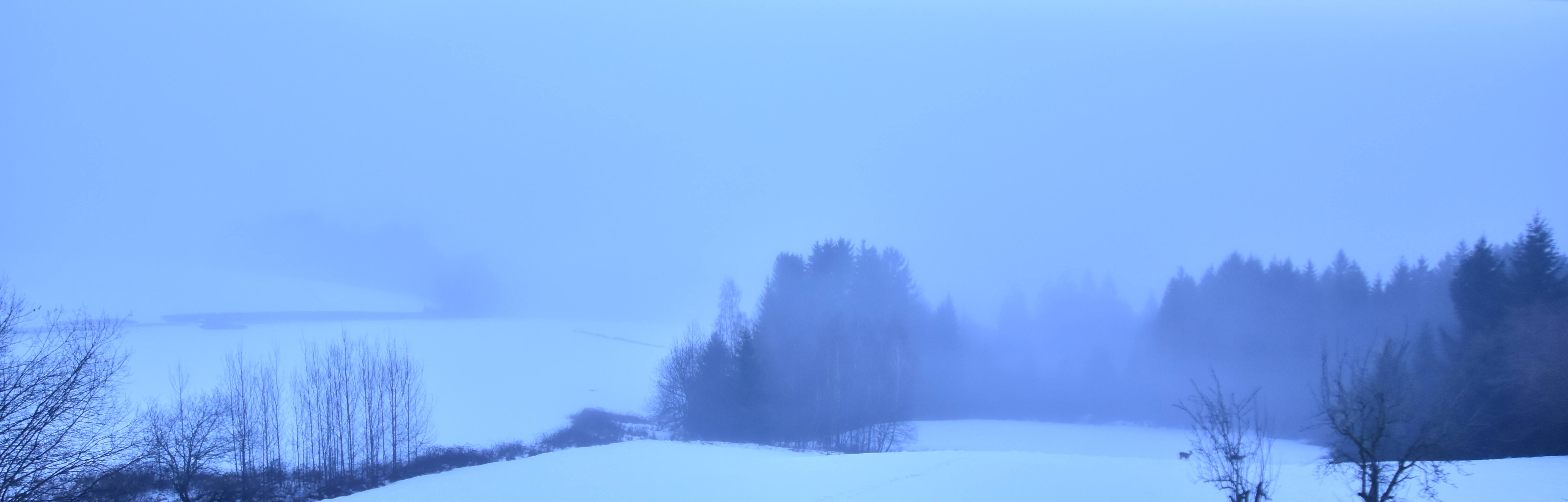 Archiv Foto Webcam Drachselsried / Lesmannsried