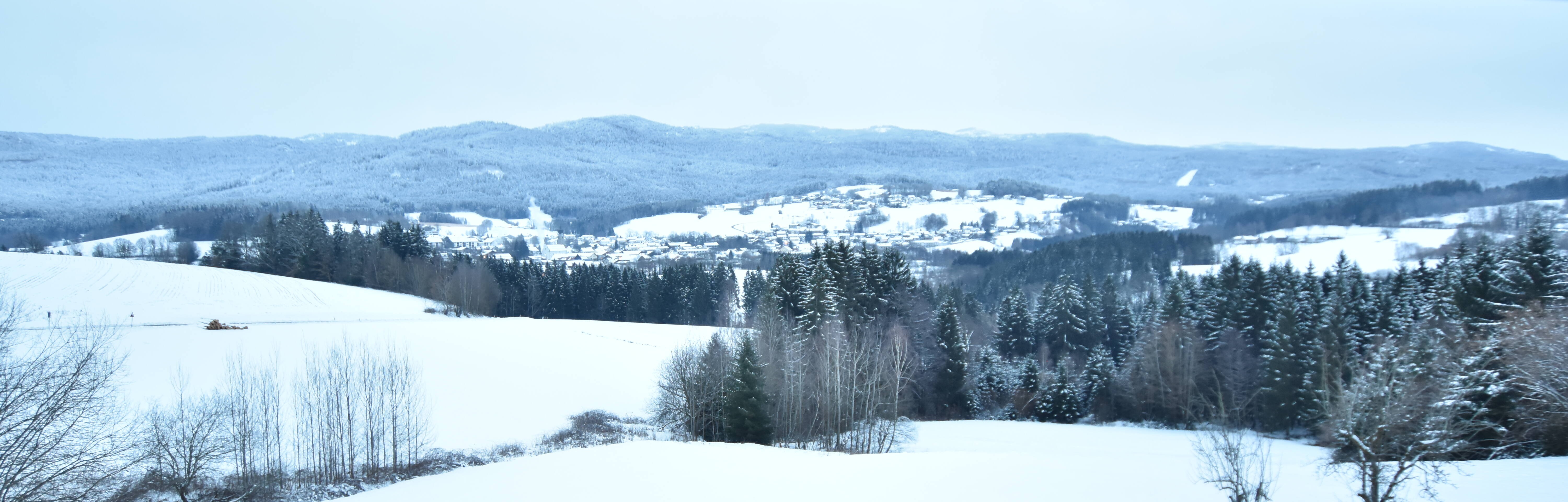 Archiv Foto Webcam Drachselsried / Lesmannsried