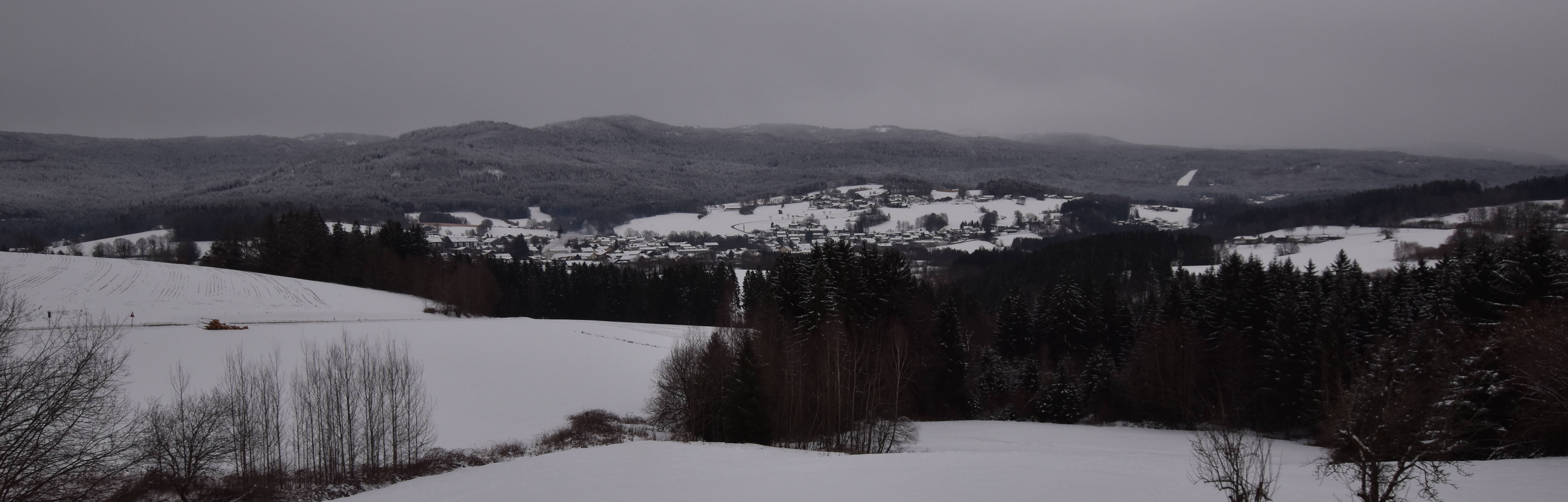 Archiv Foto Webcam Drachselsried / Lesmannsried