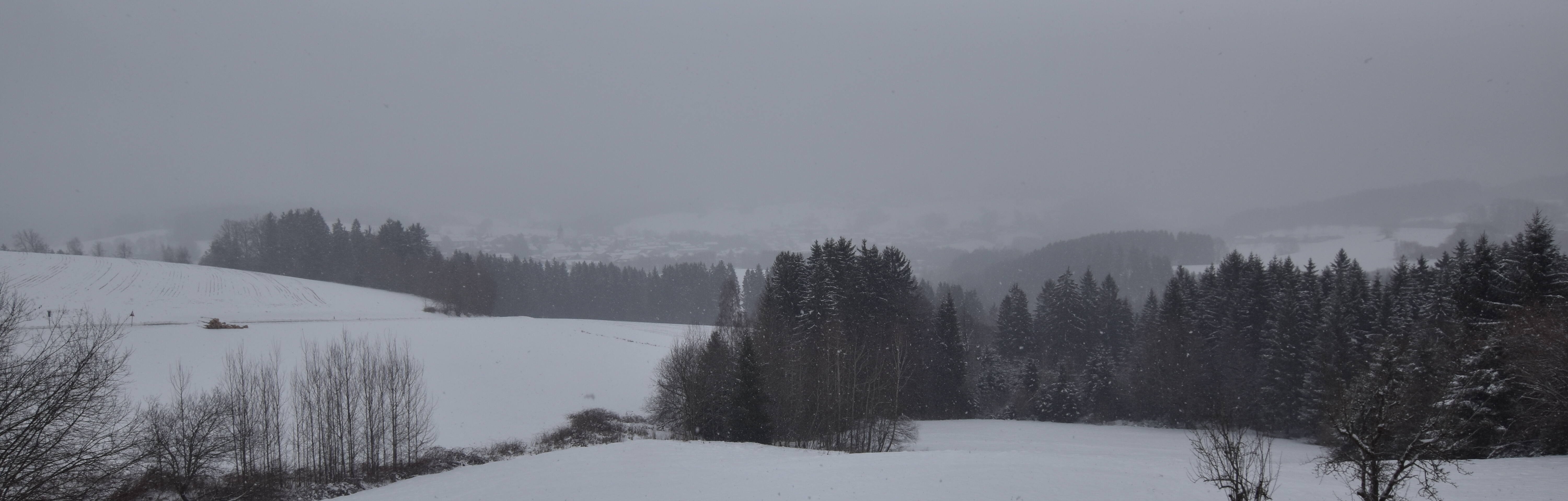 Archiv Foto Webcam Drachselsried / Lesmannsried