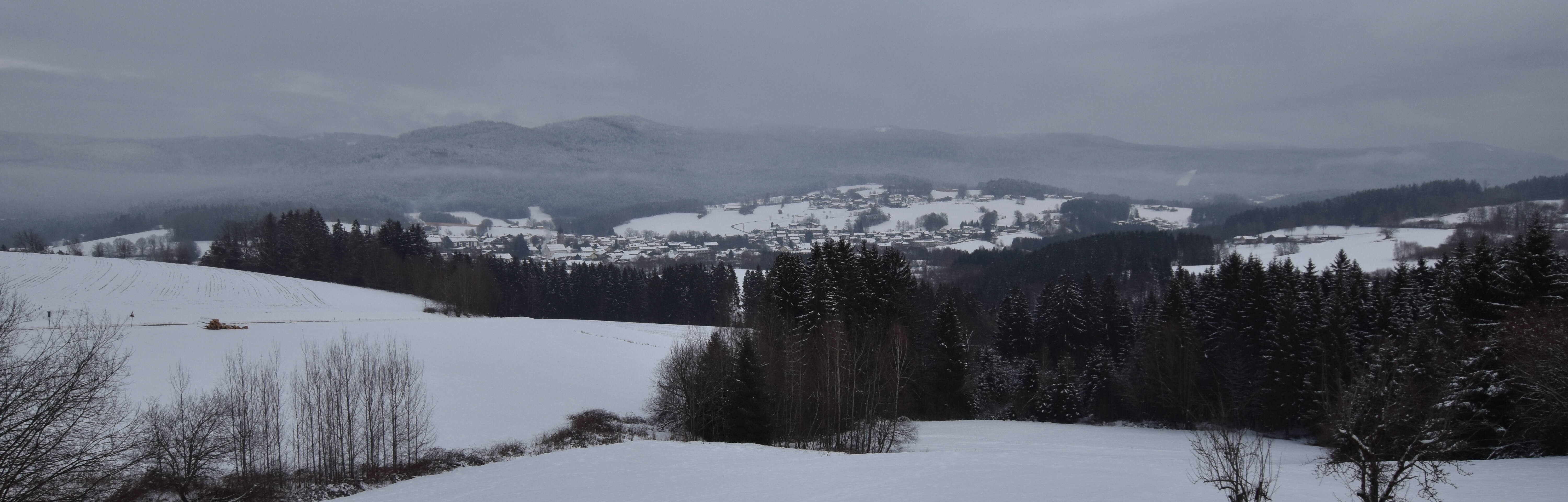 Archiv Foto Webcam Drachselsried / Lesmannsried