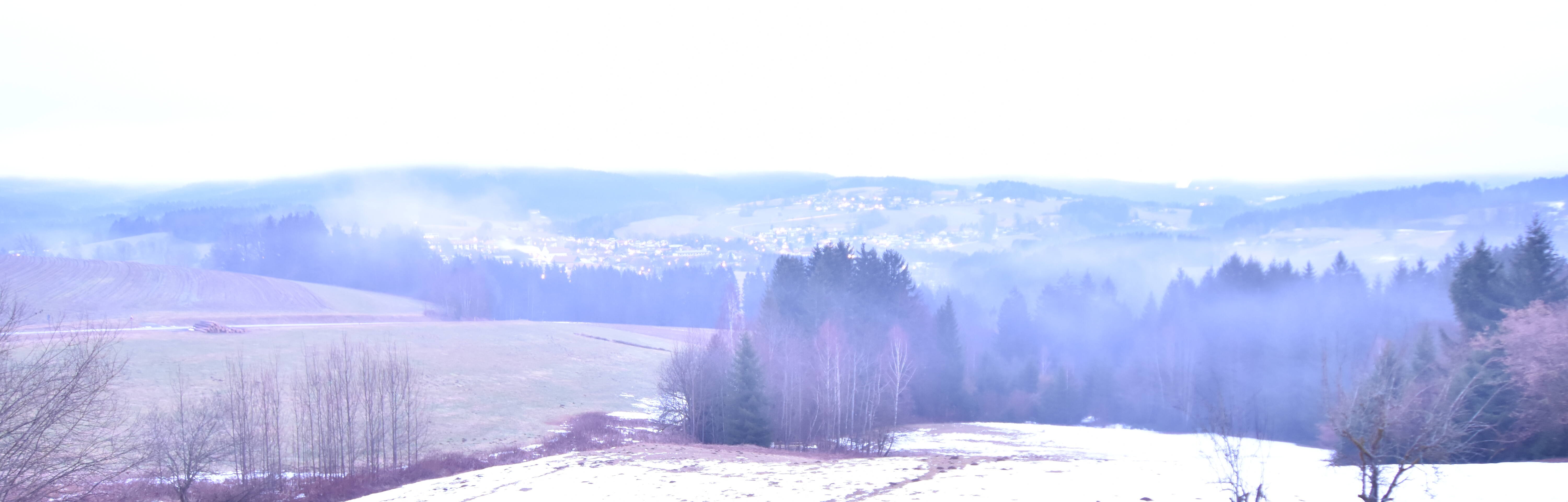 Archiv Foto Webcam Drachselsried / Lesmannsried