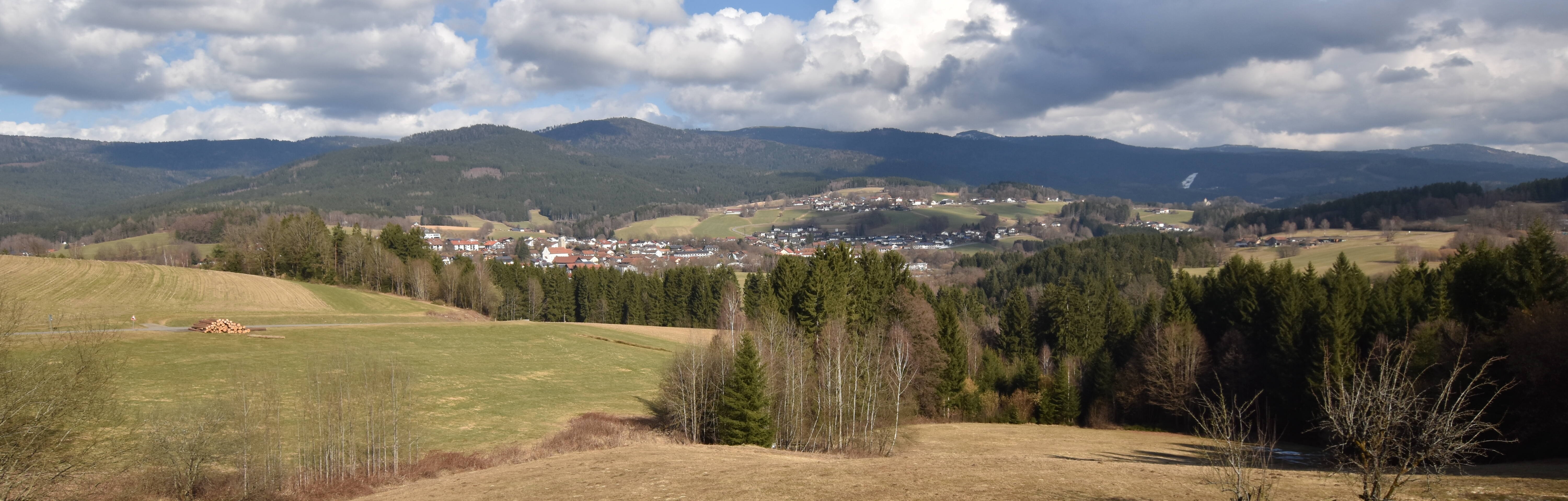 Archiv Foto Webcam Drachselsried / Lesmannsried