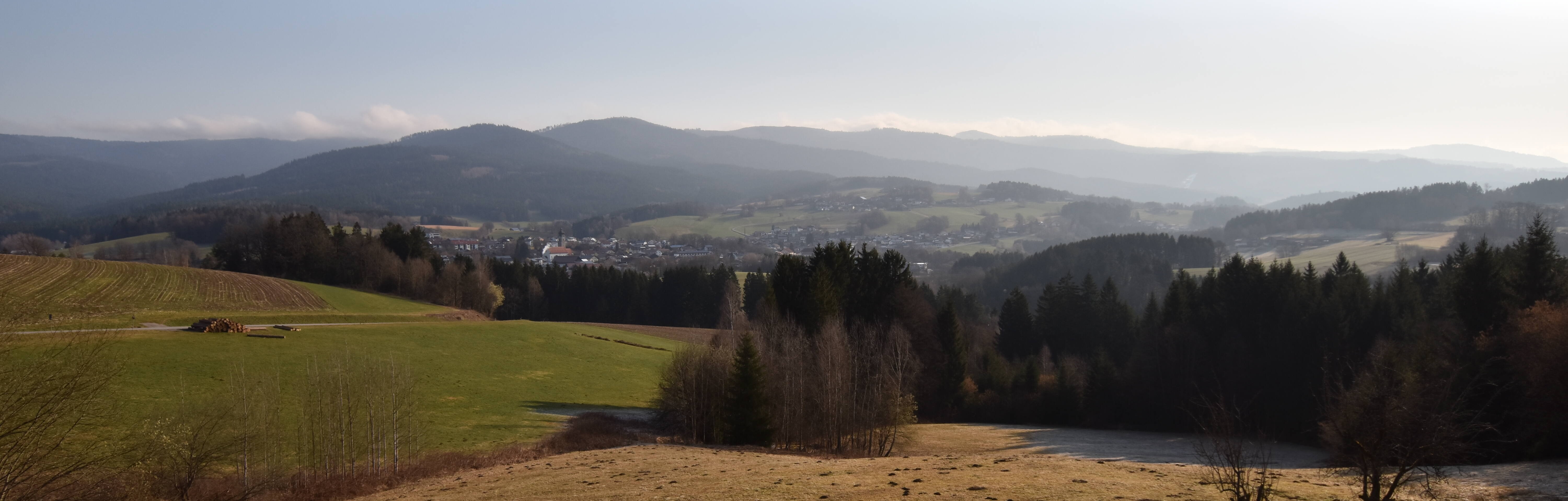 Archiv Foto Webcam Drachselsried / Lesmannsried