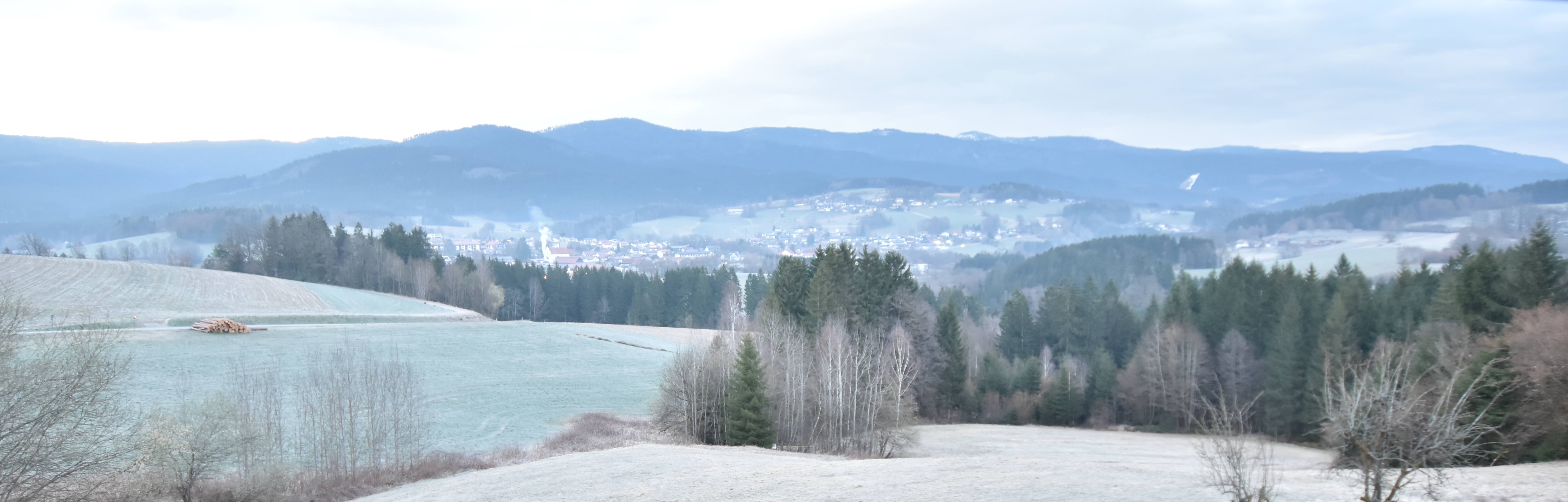 Archiv Foto Webcam Drachselsried / Lesmannsried