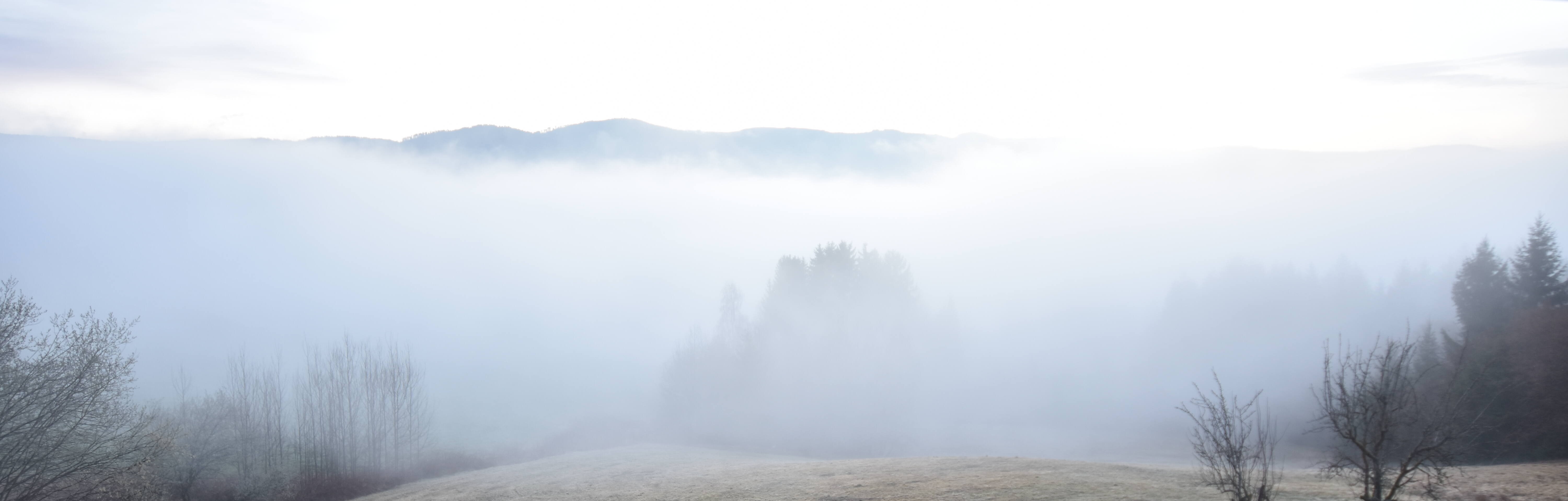 Archived image Webcam Drachselsried: Lesmannsried