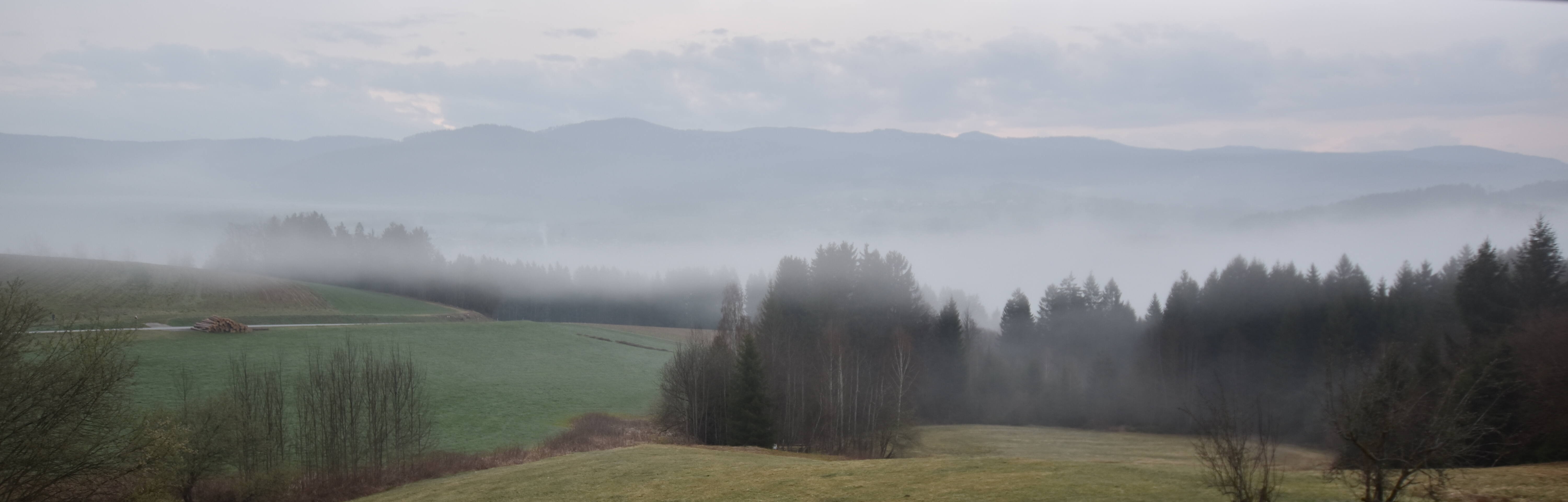 Archiv Foto Webcam Drachselsried / Lesmannsried