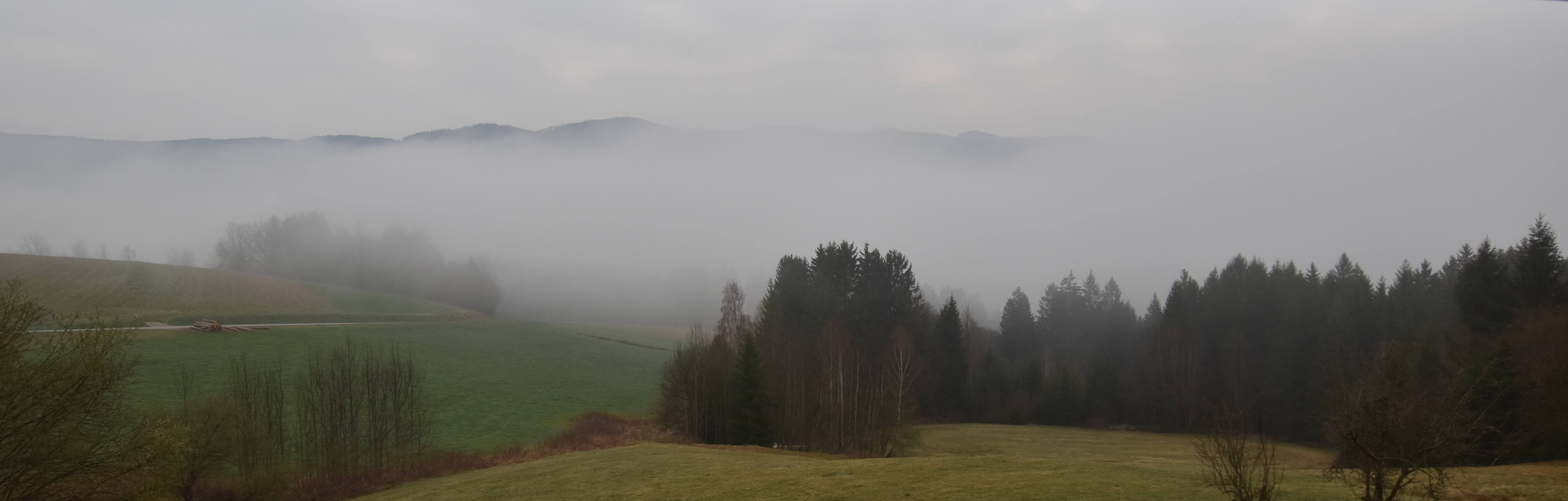 Archiv Foto Webcam Drachselsried / Lesmannsried