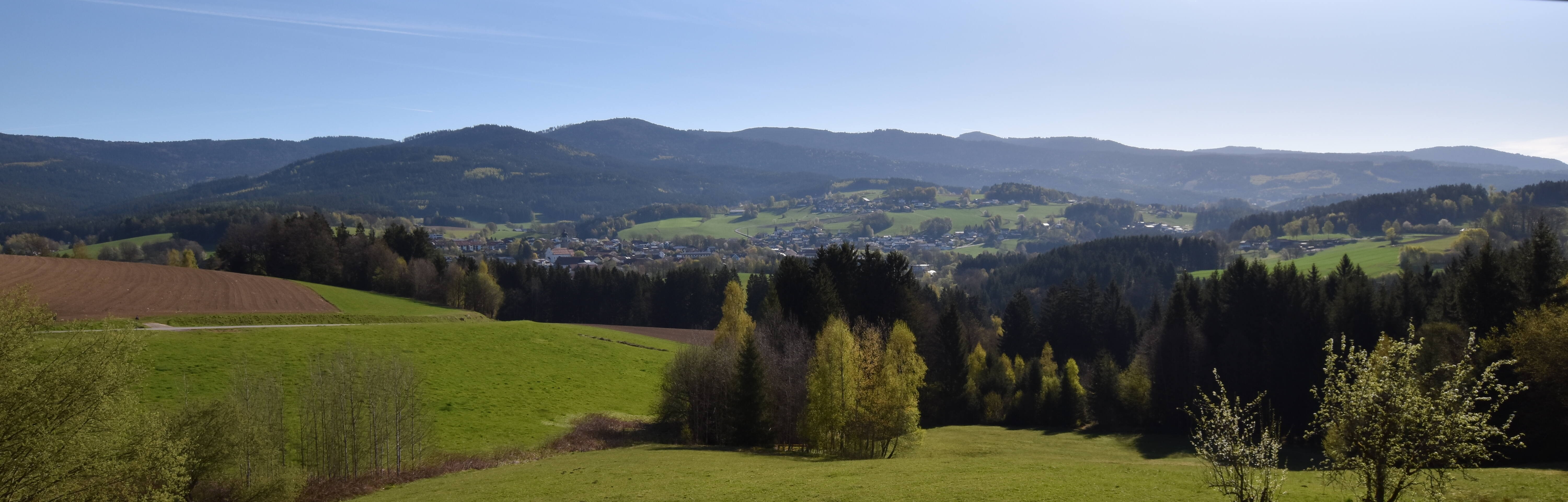 Archiv Foto Webcam Drachselsried / Lesmannsried