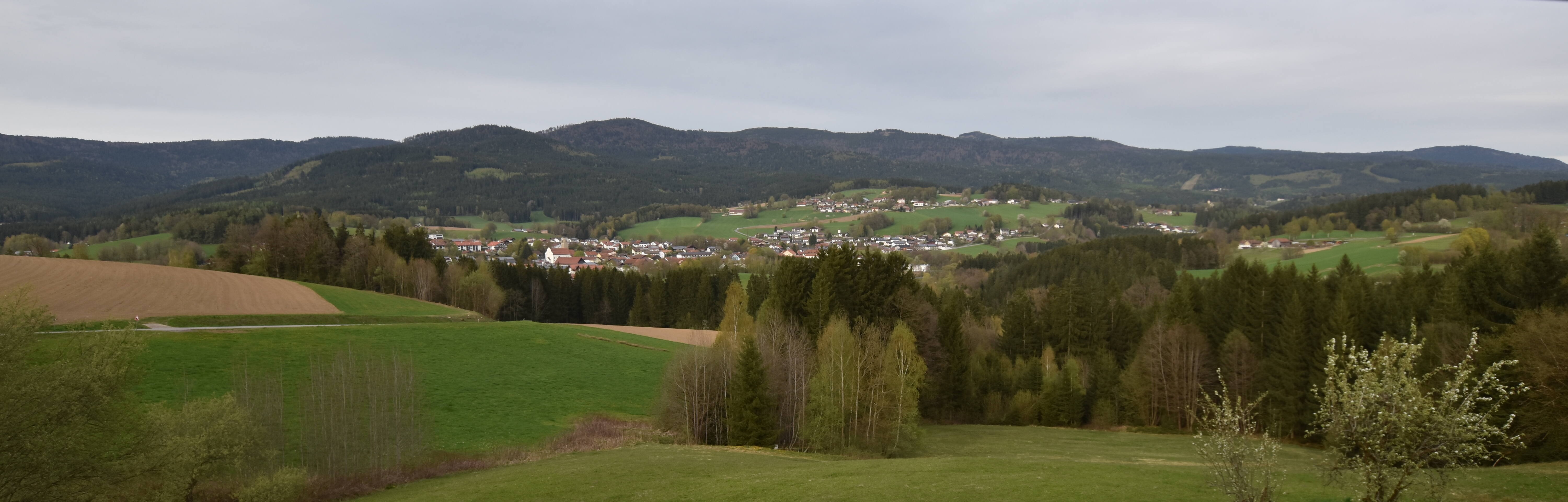 Archiv Foto Webcam Drachselsried / Lesmannsried