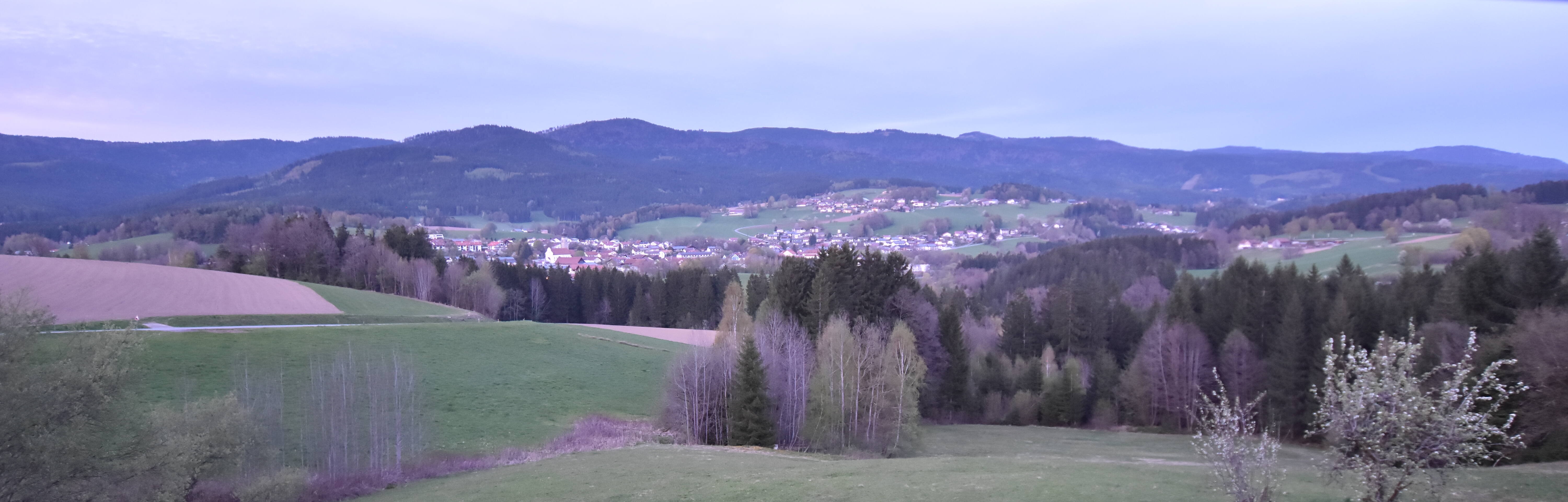 Archiv Foto Webcam Drachselsried / Lesmannsried