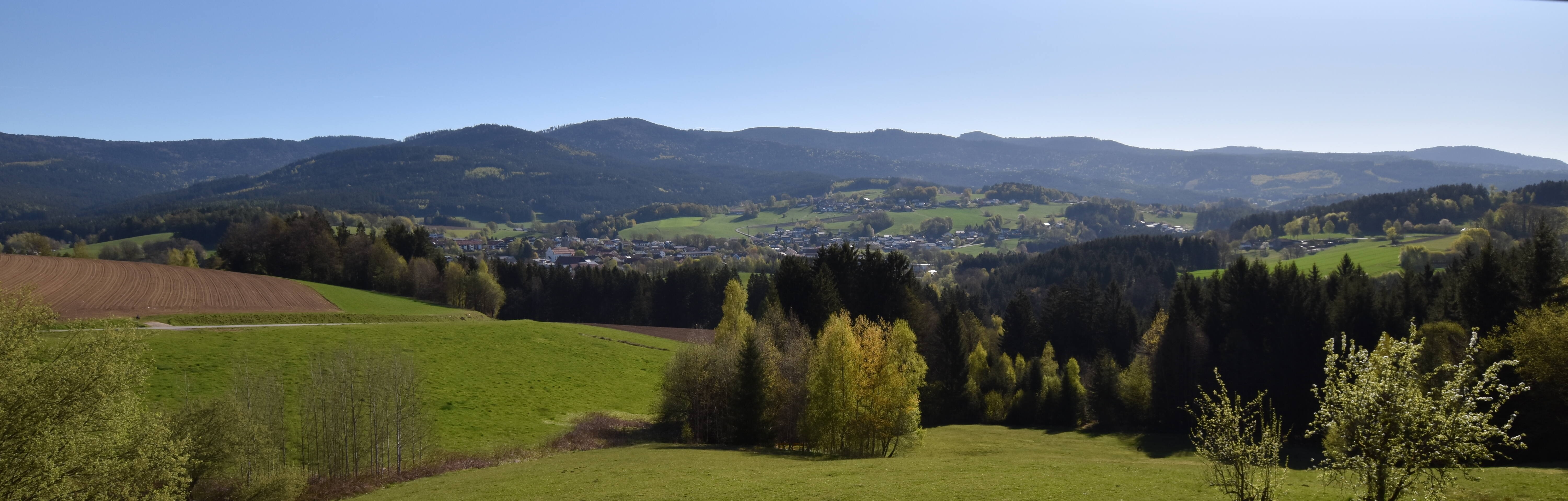 Archiv Foto Webcam Drachselsried / Lesmannsried