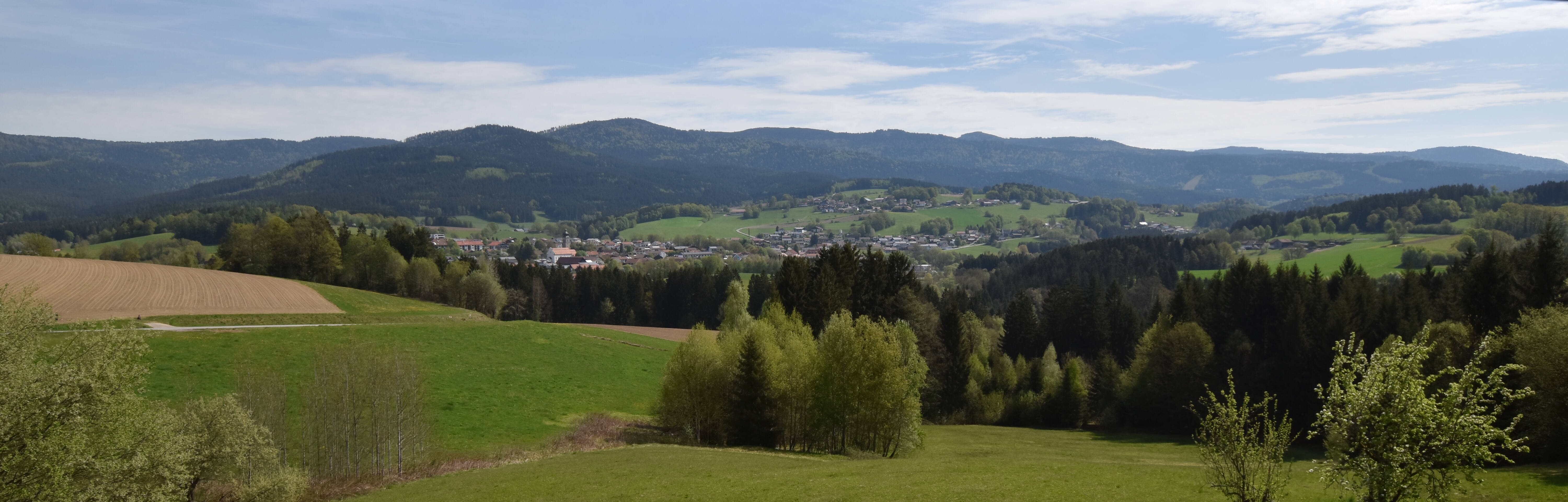 Archiv Foto Webcam Drachselsried / Lesmannsried