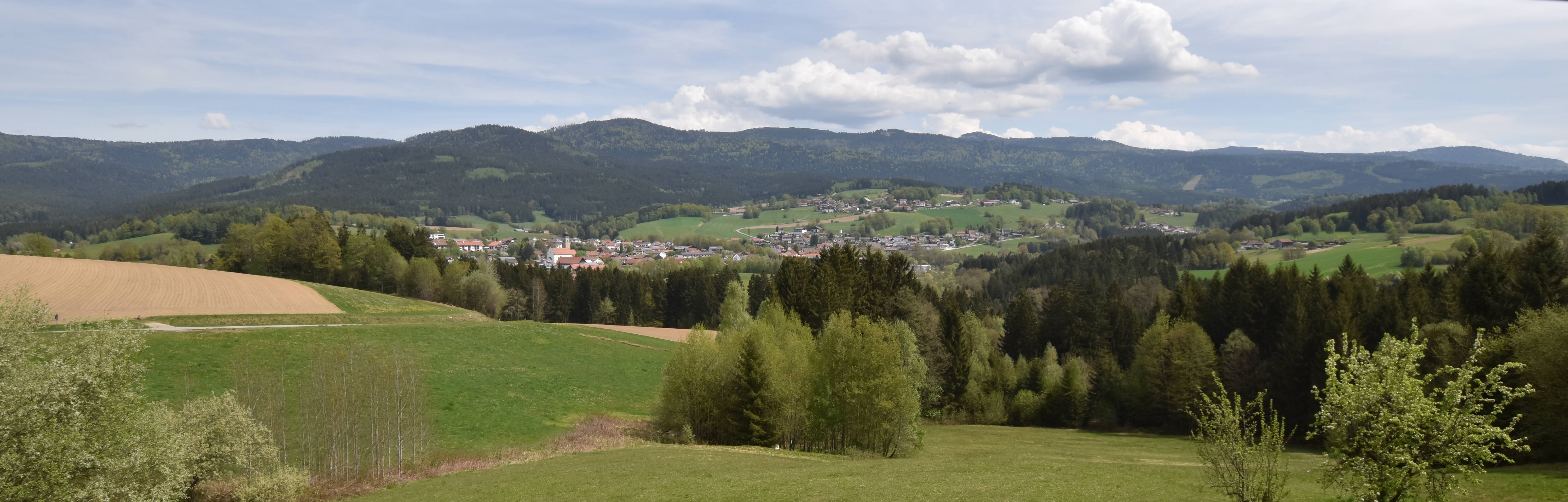 Archiv Foto Webcam Drachselsried / Lesmannsried