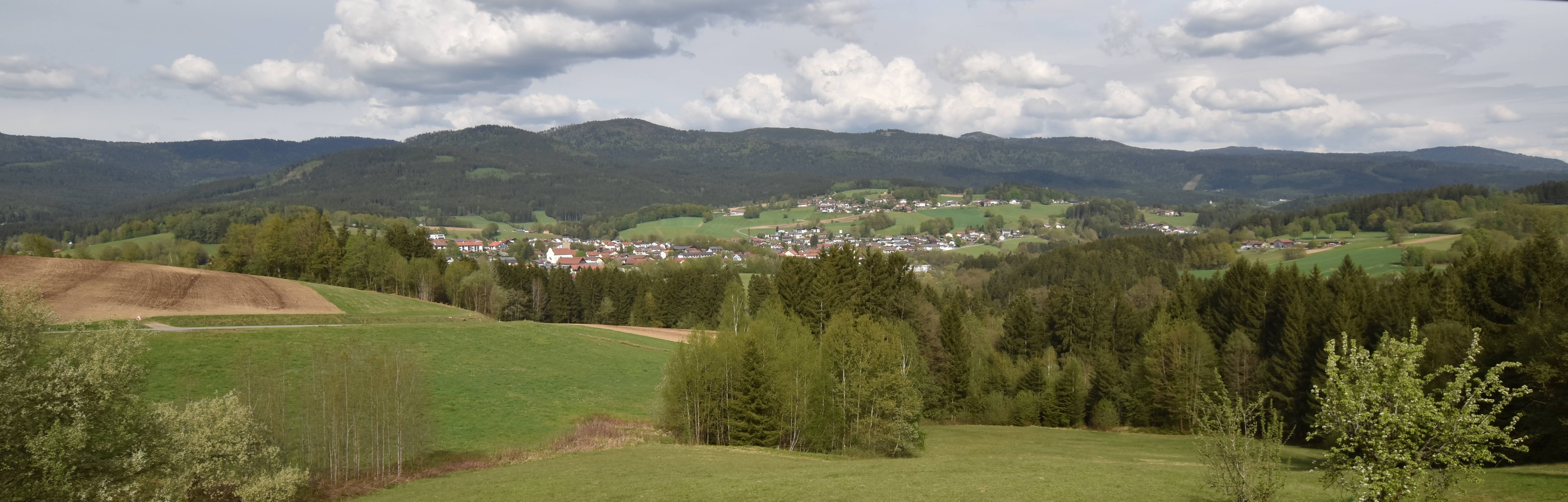Archiv Foto Webcam Drachselsried / Lesmannsried