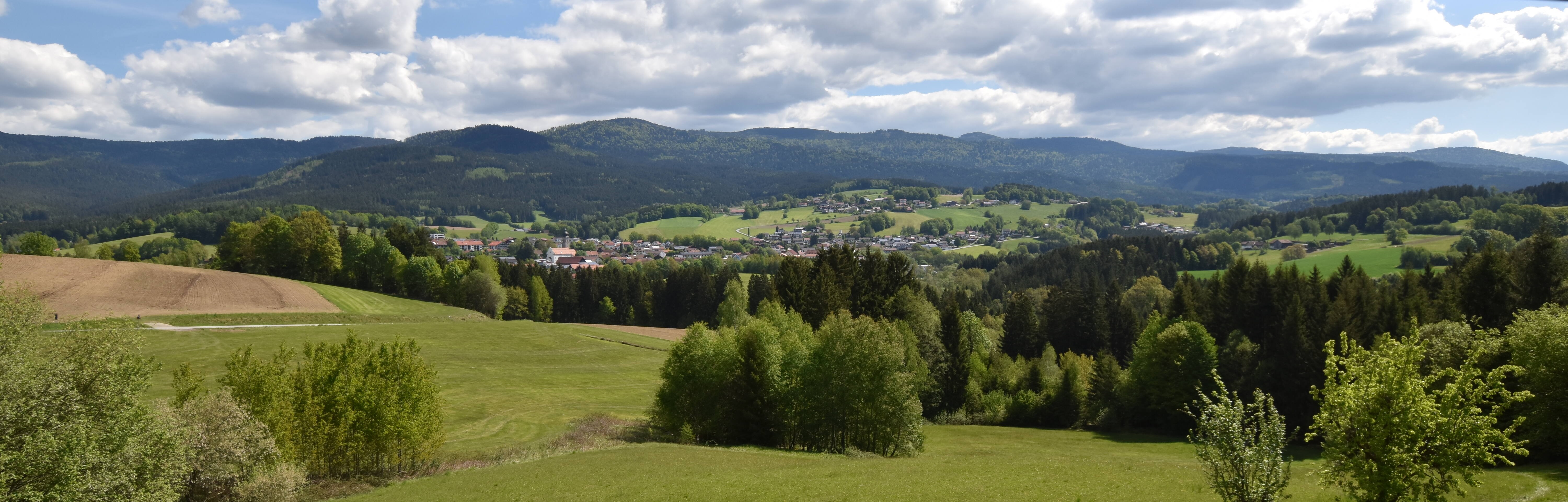 Archiv Foto Webcam Drachselsried / Lesmannsried