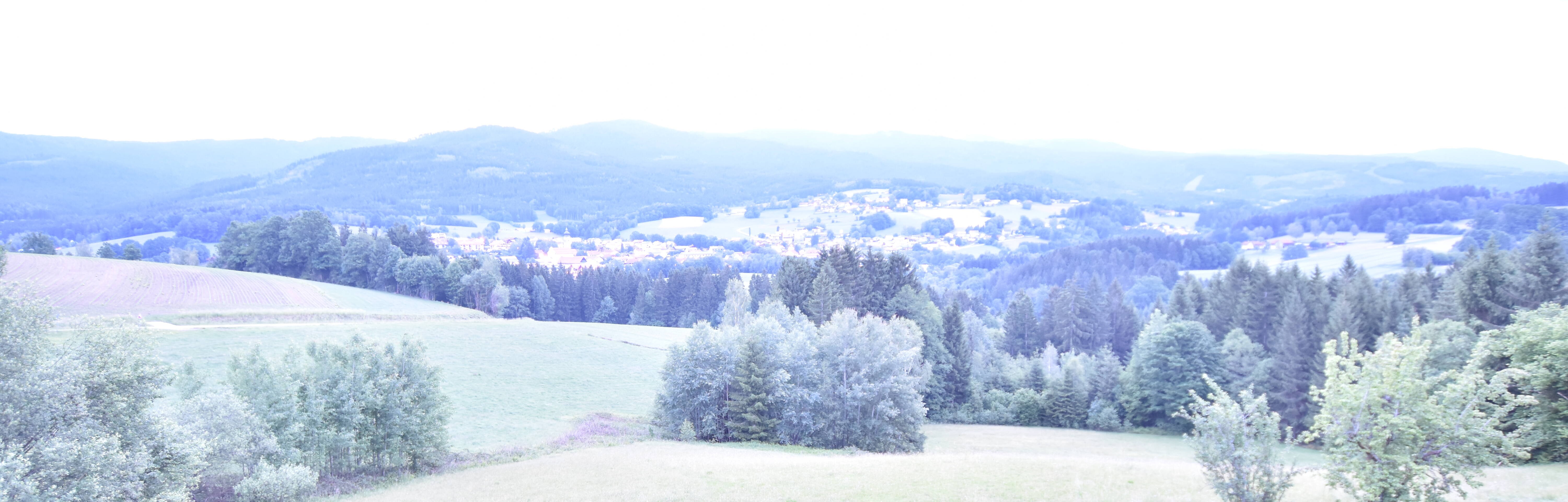 Archiv Foto Webcam Drachselsried / Lesmannsried