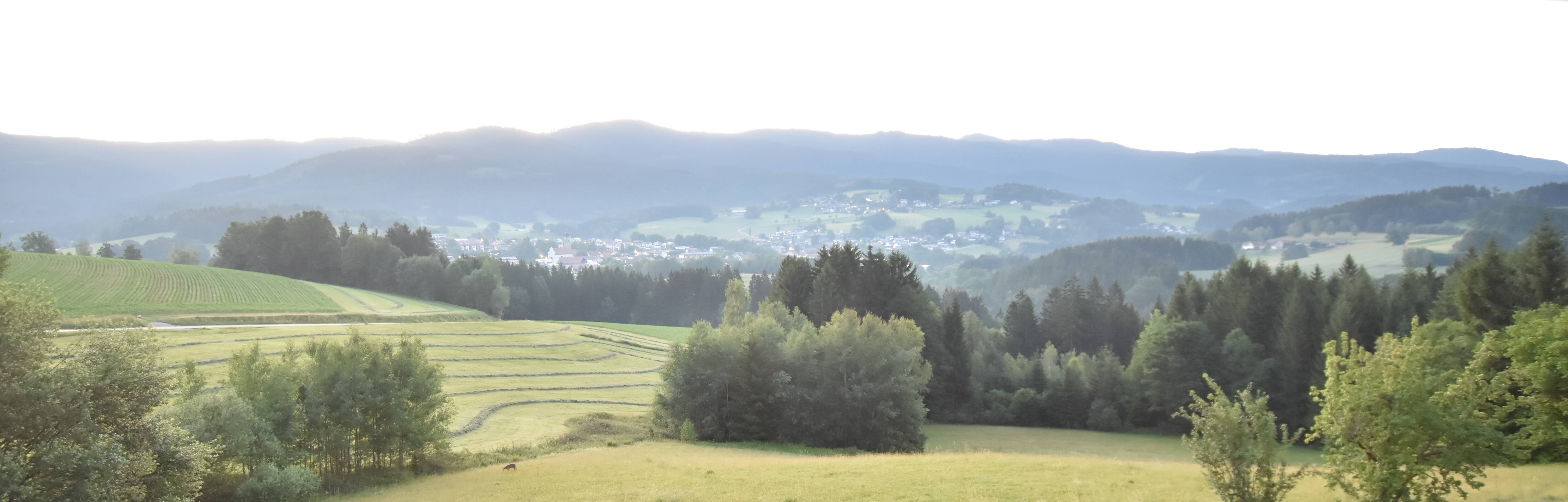 Archiv Foto Webcam Drachselsried / Lesmannsried