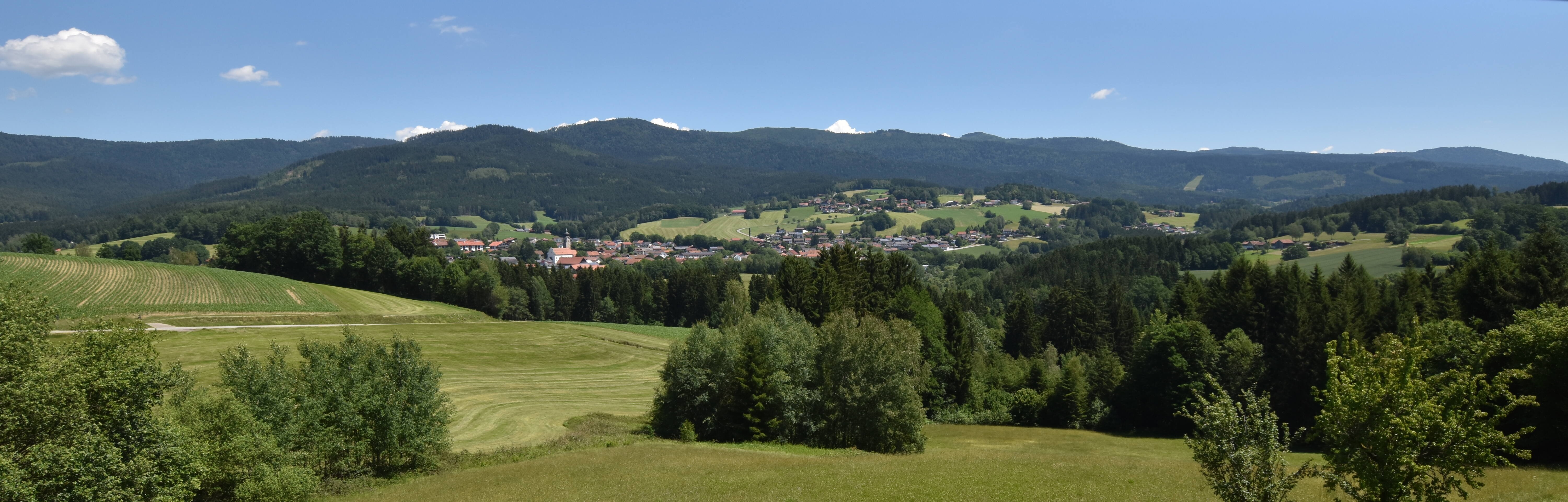 Archiv Foto Webcam Drachselsried / Lesmannsried