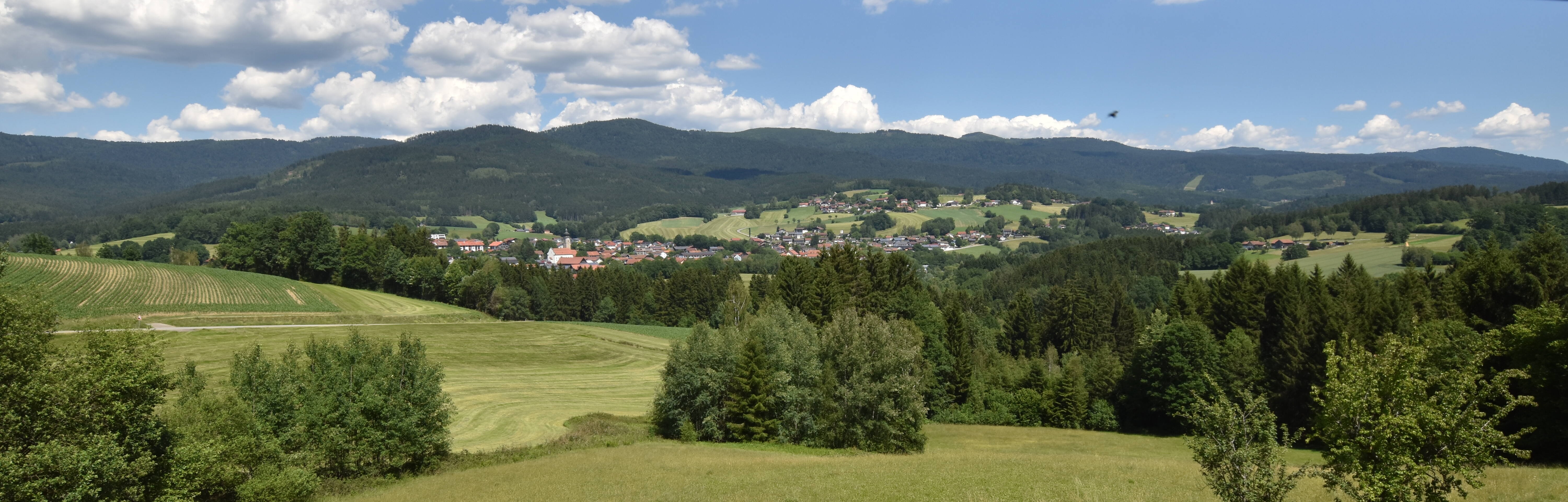 Archiv Foto Webcam Drachselsried / Lesmannsried