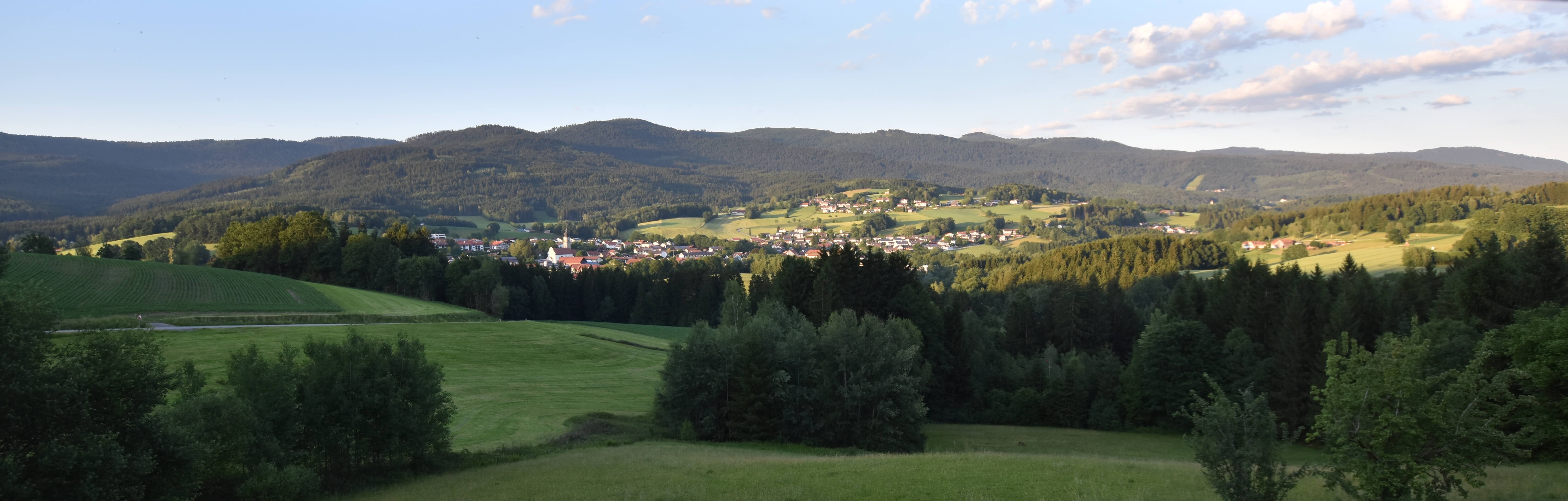 Archiv Foto Webcam Drachselsried / Lesmannsried