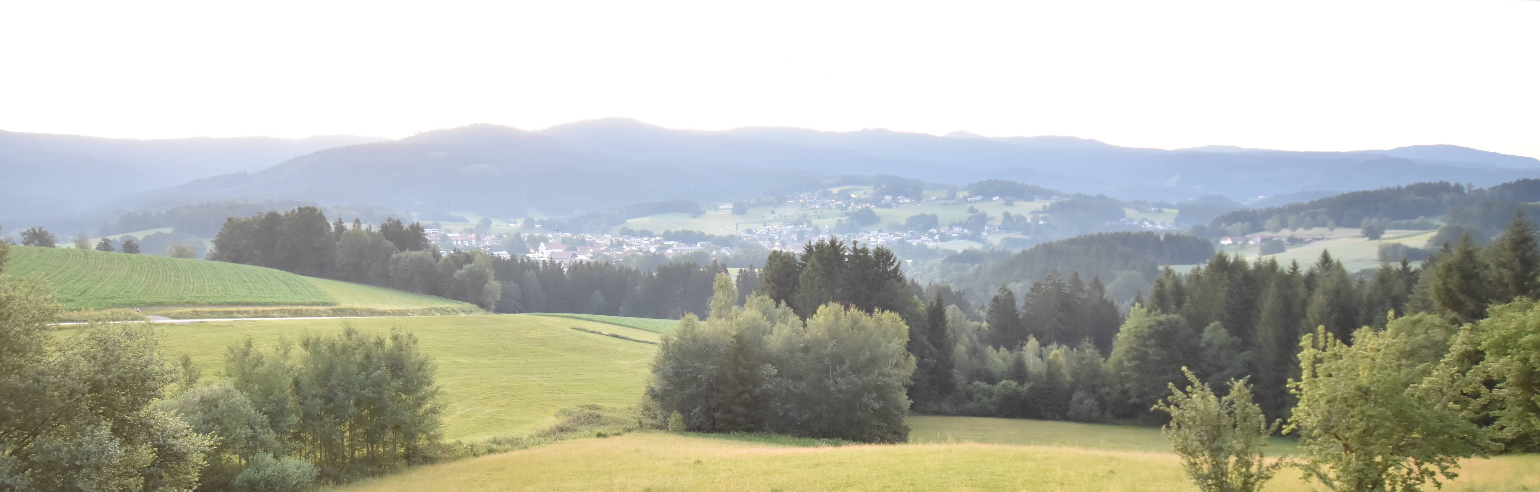 Archiv Foto Webcam Drachselsried / Lesmannsried