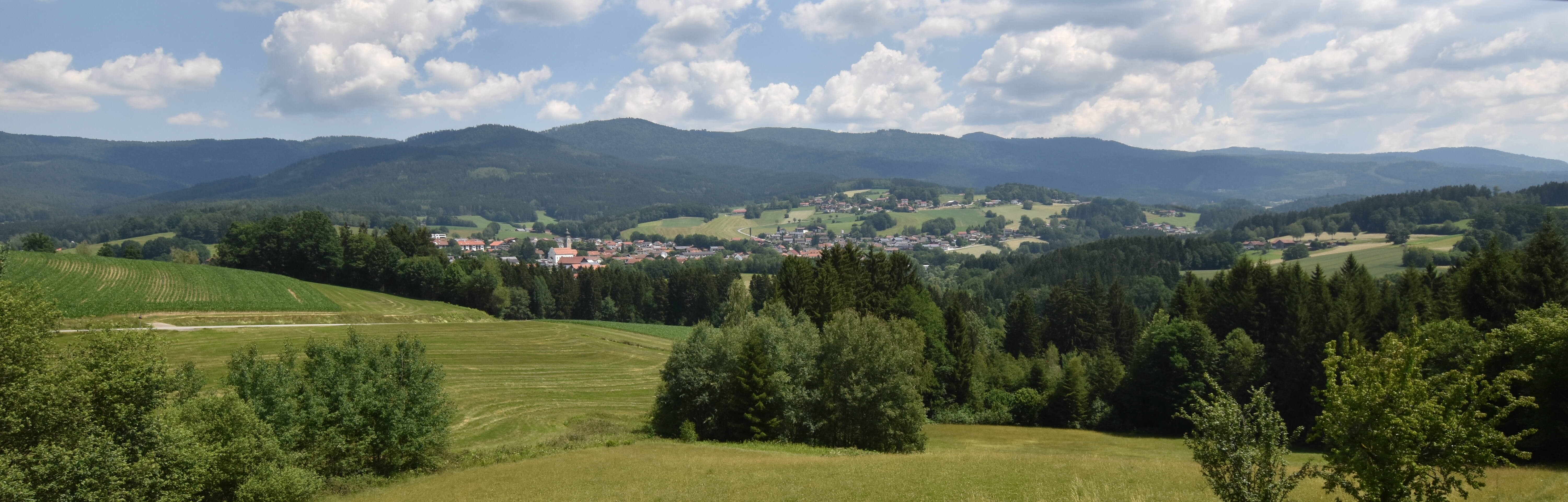 Archiv Foto Webcam Drachselsried / Lesmannsried
