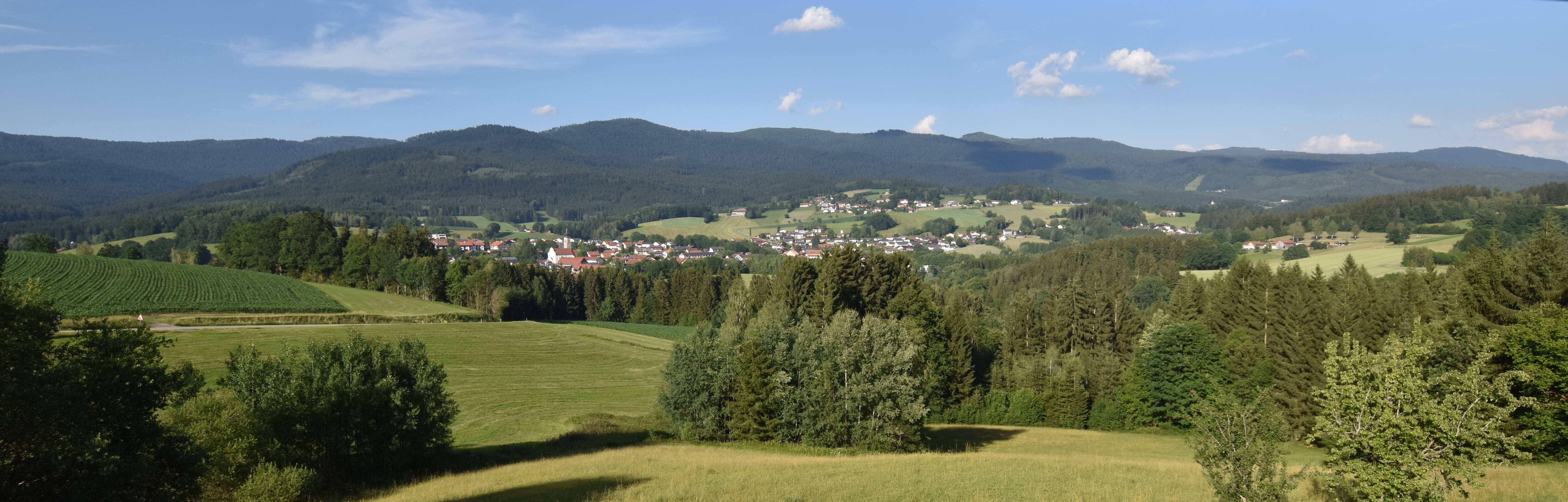 Archiv Foto Webcam Drachselsried / Lesmannsried