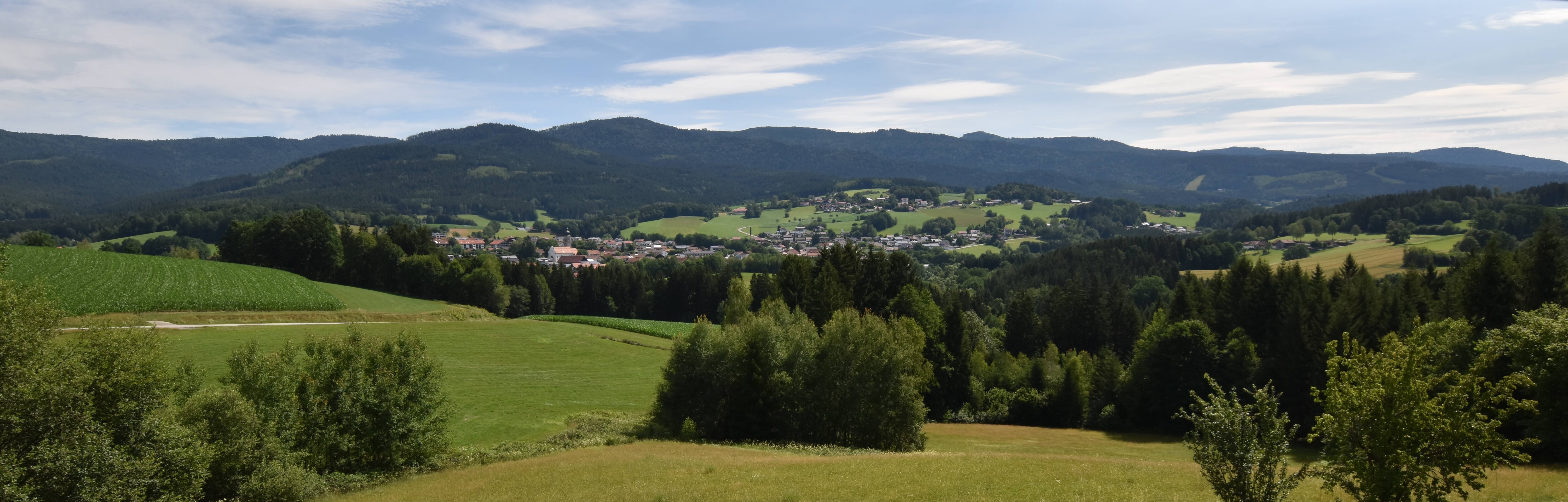 Archiv Foto Webcam Drachselsried / Lesmannsried