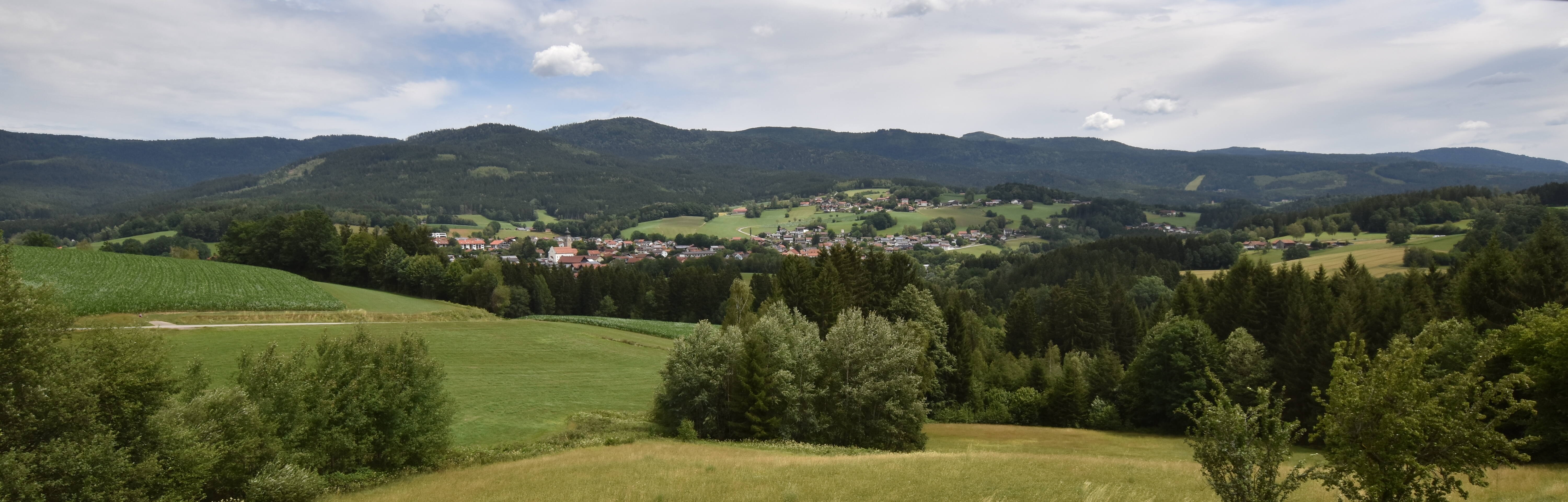 Archiv Foto Webcam Drachselsried / Lesmannsried