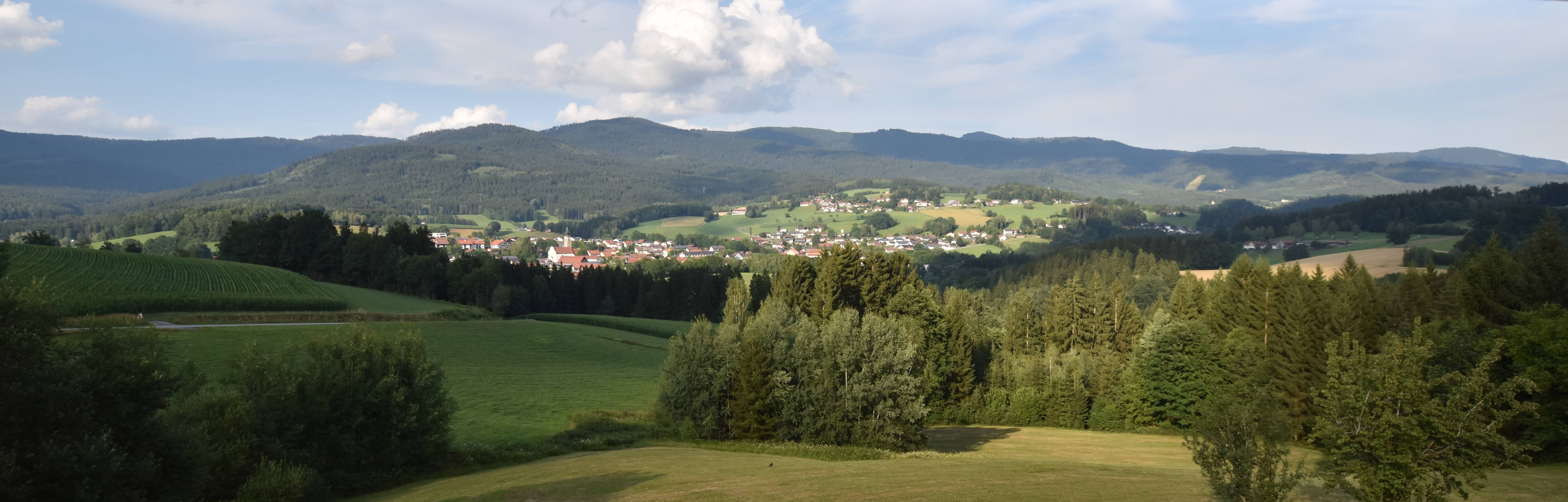 Archiv Foto Webcam Drachselsried / Lesmannsried