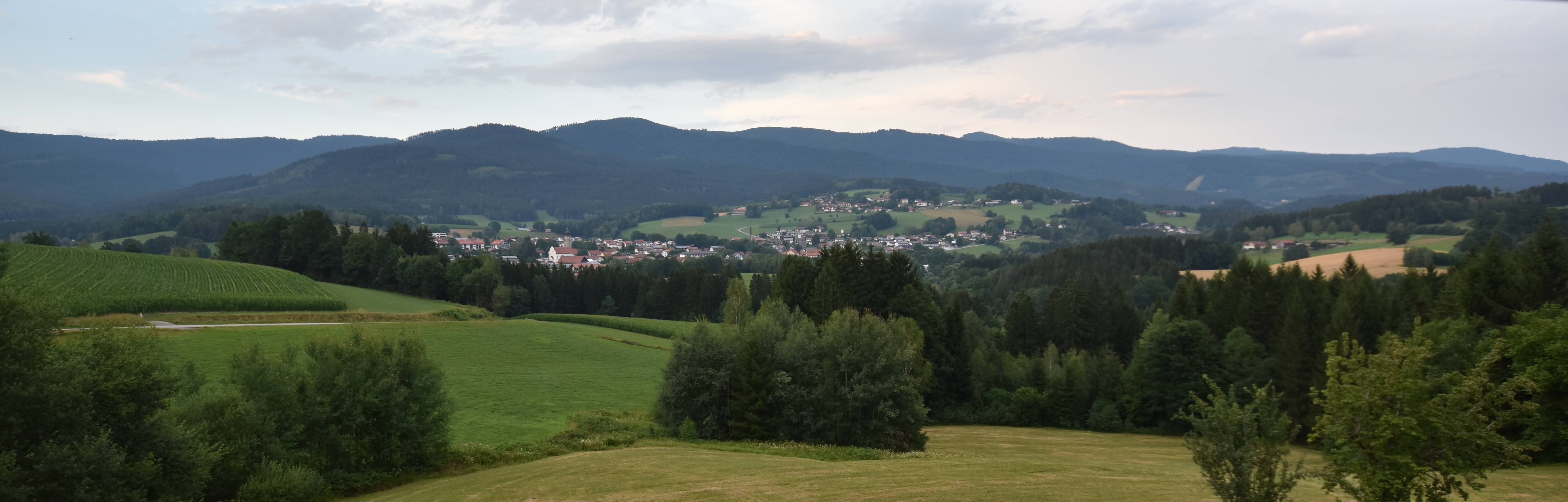 Archiv Foto Webcam Drachselsried / Lesmannsried