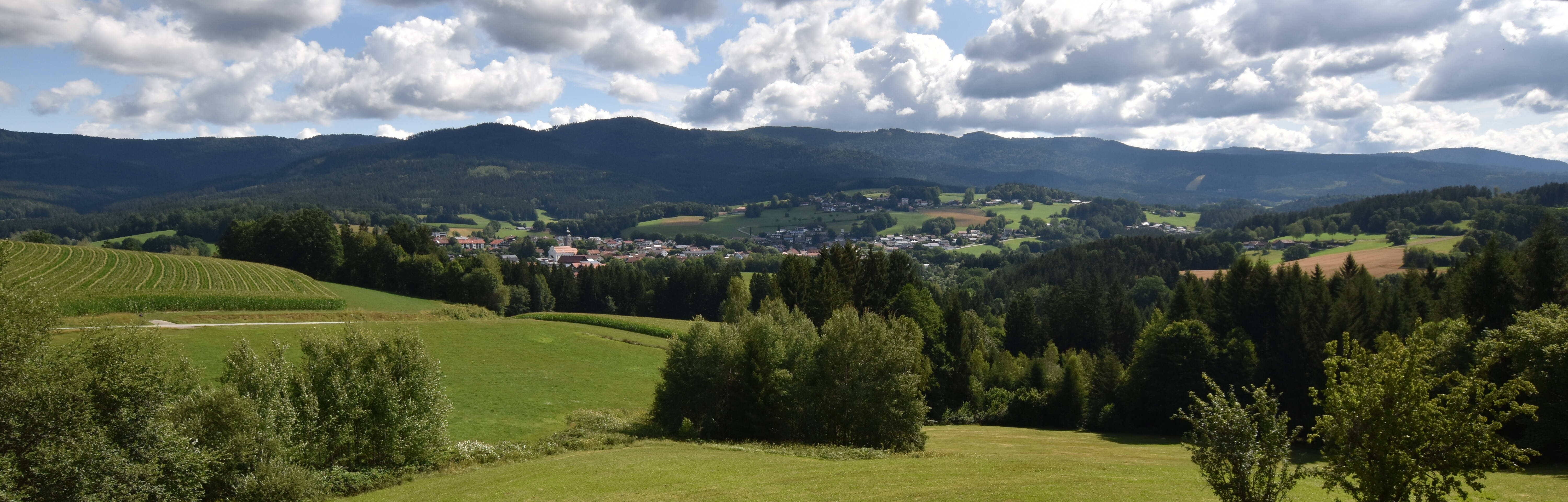 Archiv Foto Webcam Drachselsried / Lesmannsried