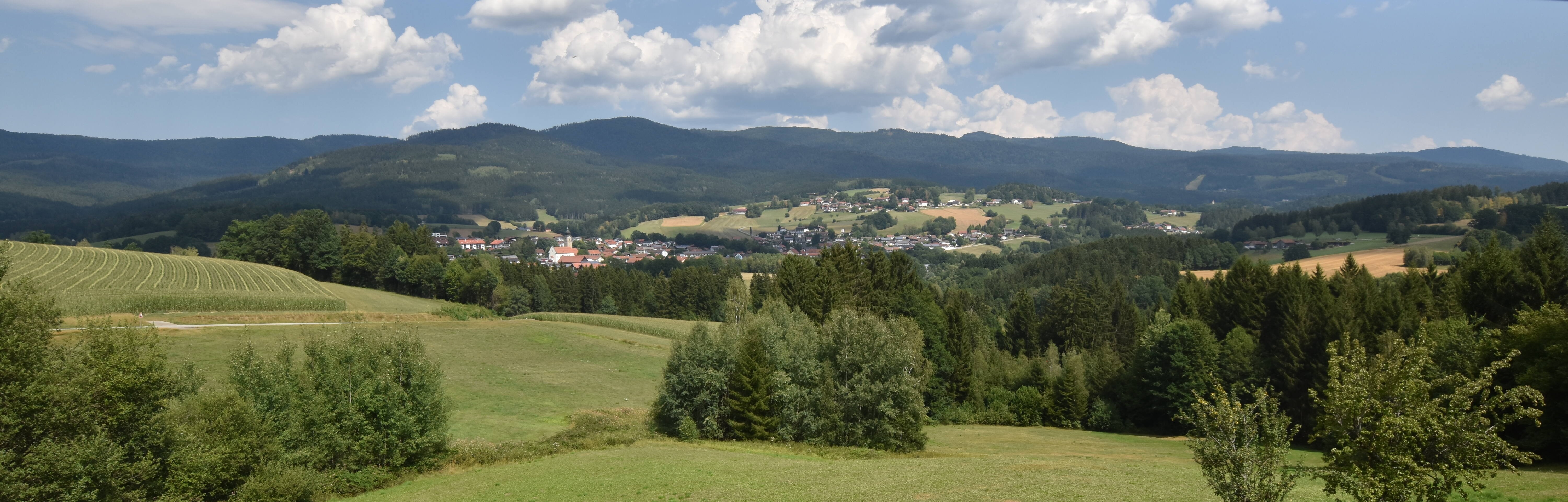 Archiv Foto Webcam Drachselsried / Lesmannsried