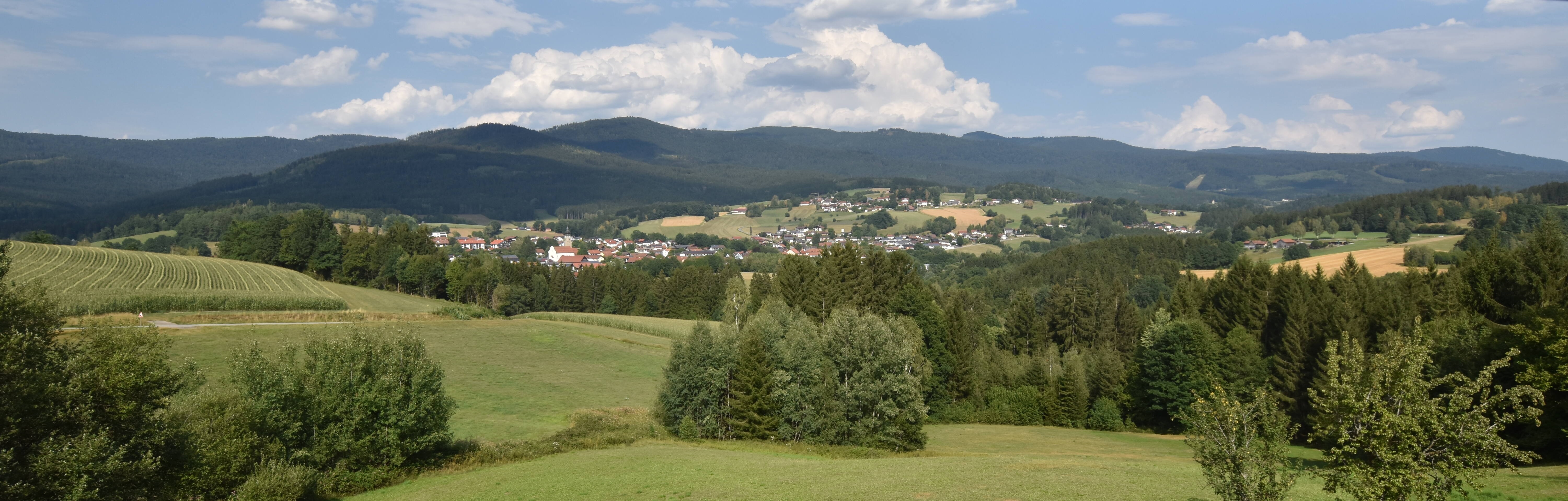 Archiv Foto Webcam Drachselsried / Lesmannsried