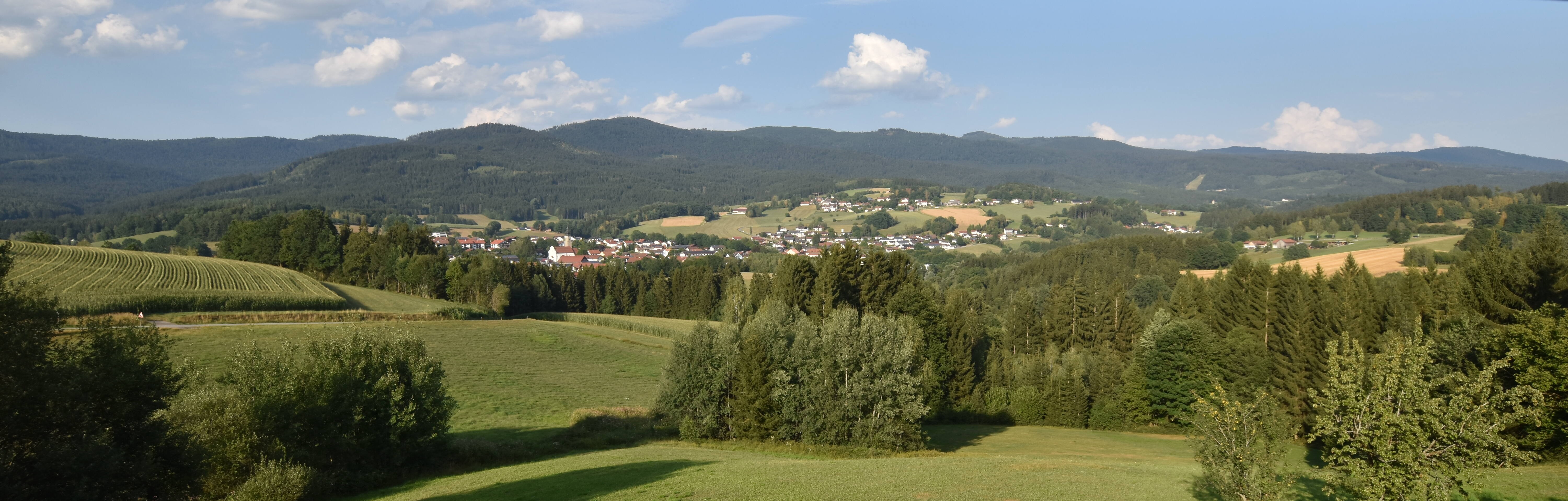 Archiv Foto Webcam Drachselsried / Lesmannsried