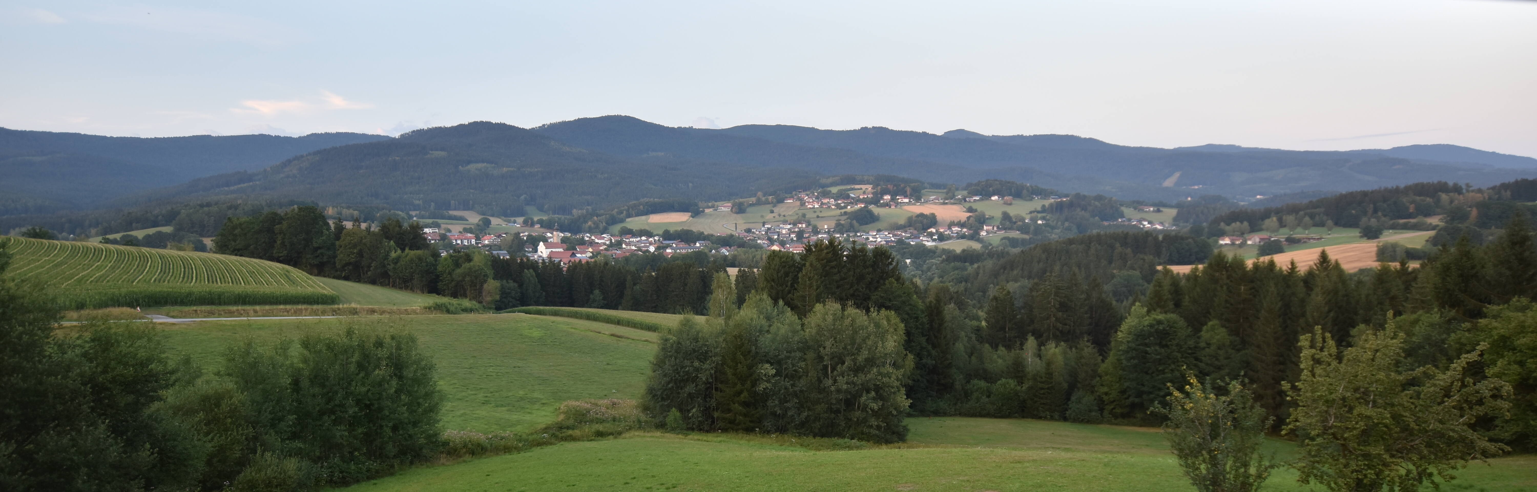 Archiv Foto Webcam Drachselsried / Lesmannsried