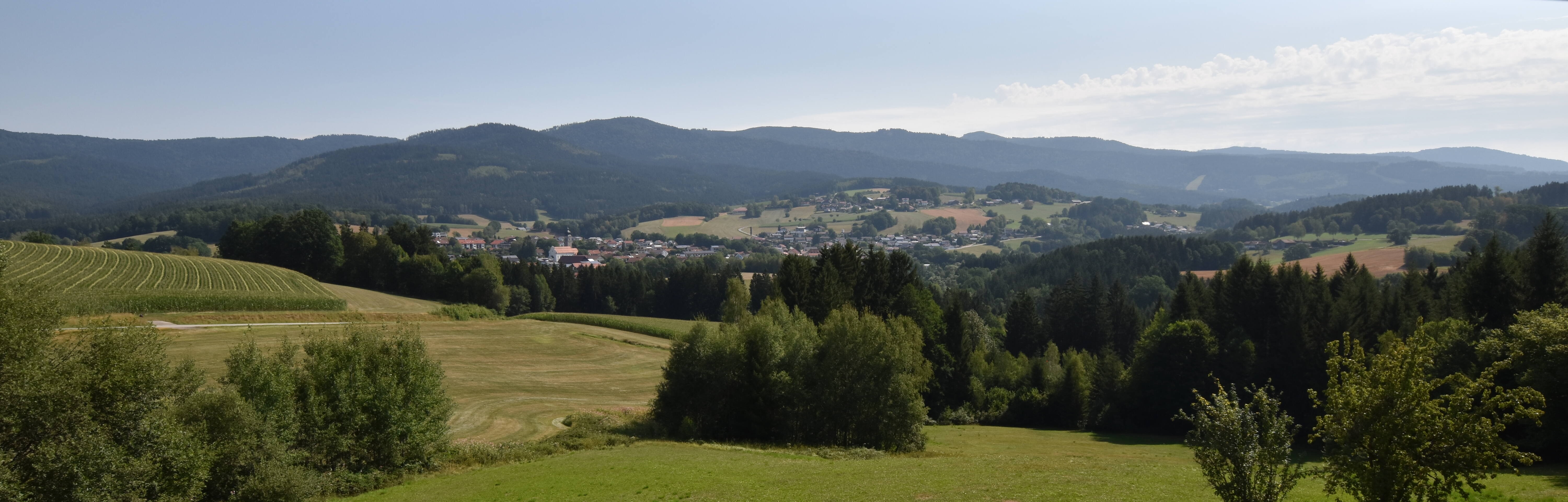 Archiv Foto Webcam Drachselsried / Lesmannsried