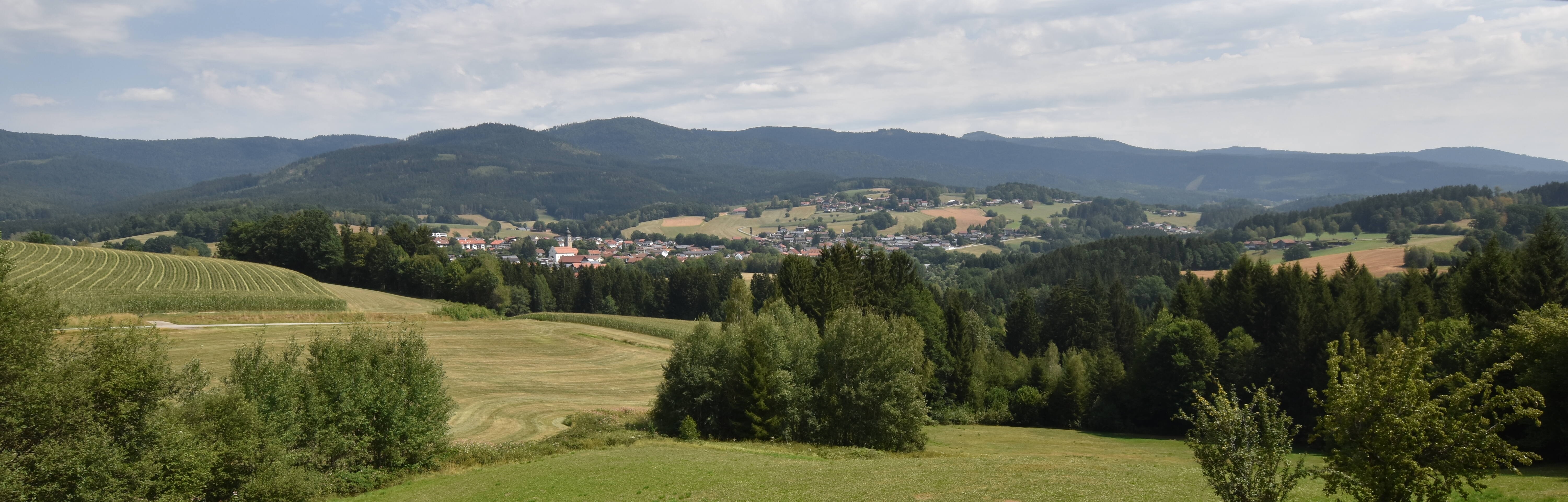 Archiv Foto Webcam Drachselsried / Lesmannsried