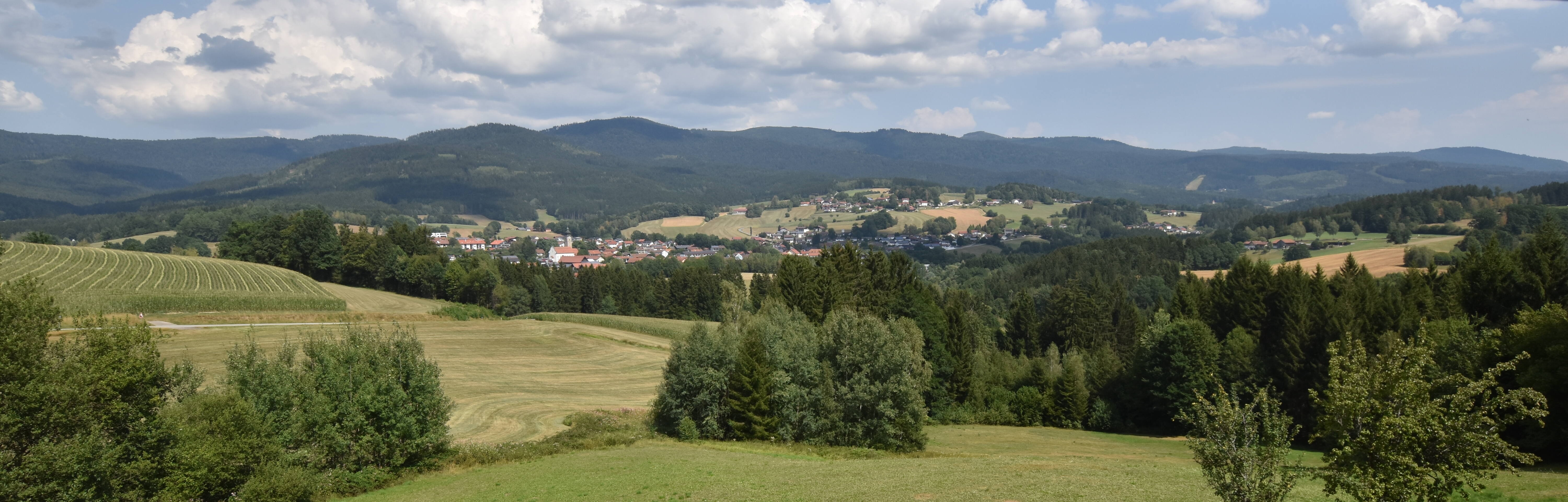 Archiv Foto Webcam Drachselsried / Lesmannsried