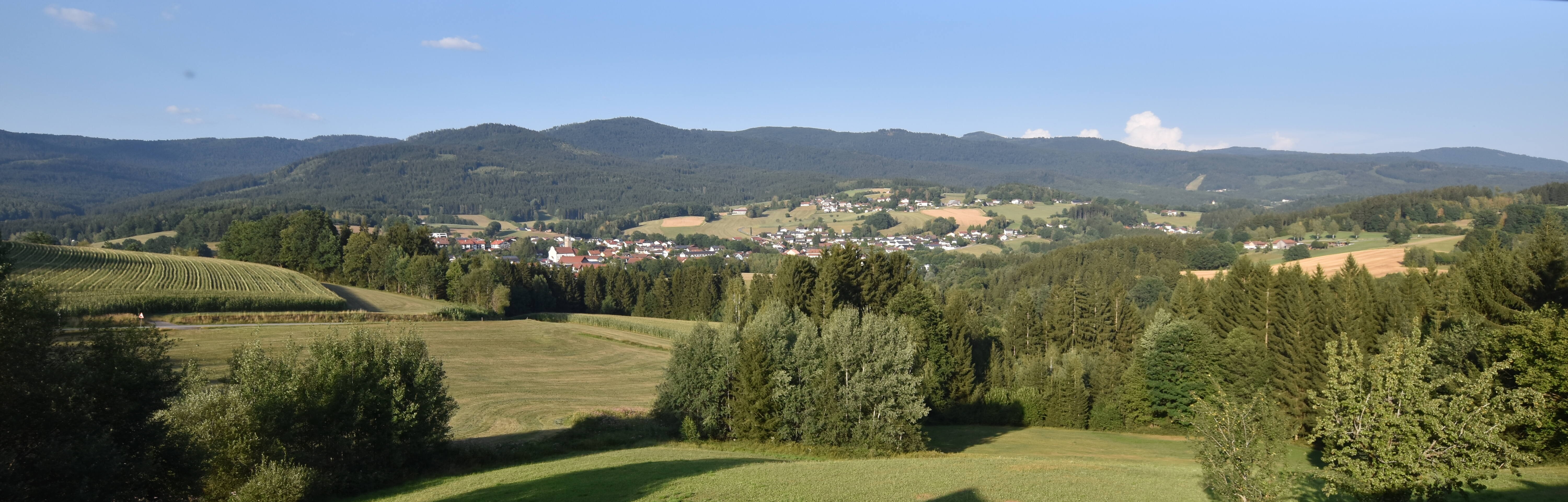 Archiv Foto Webcam Drachselsried / Lesmannsried