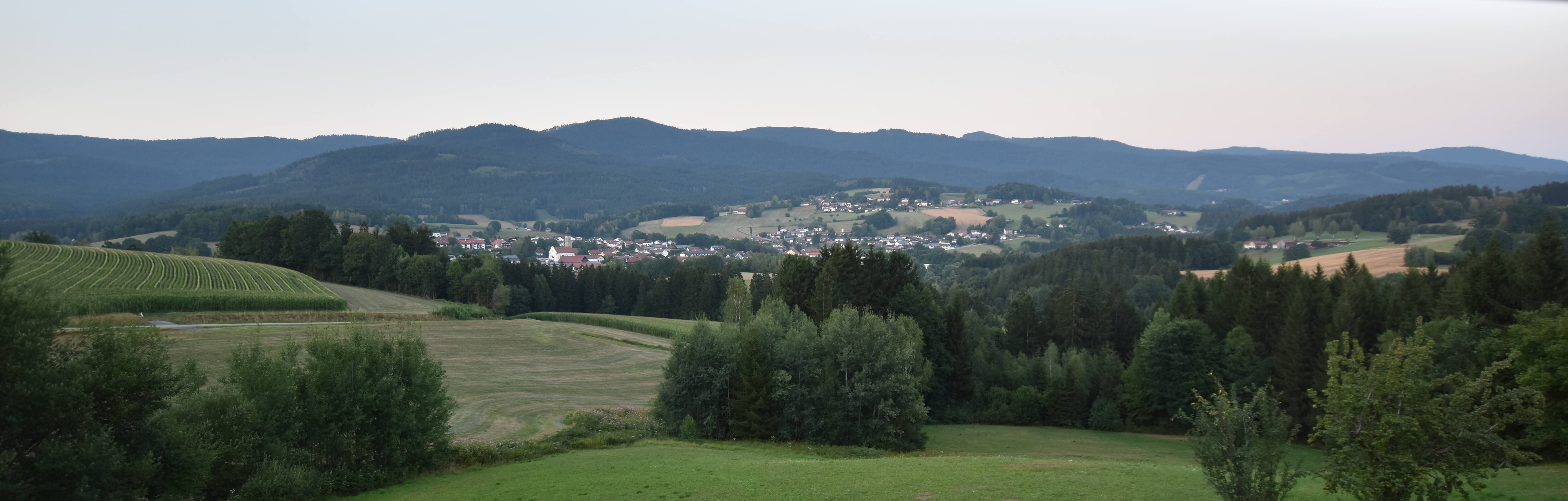 Archiv Foto Webcam Drachselsried / Lesmannsried