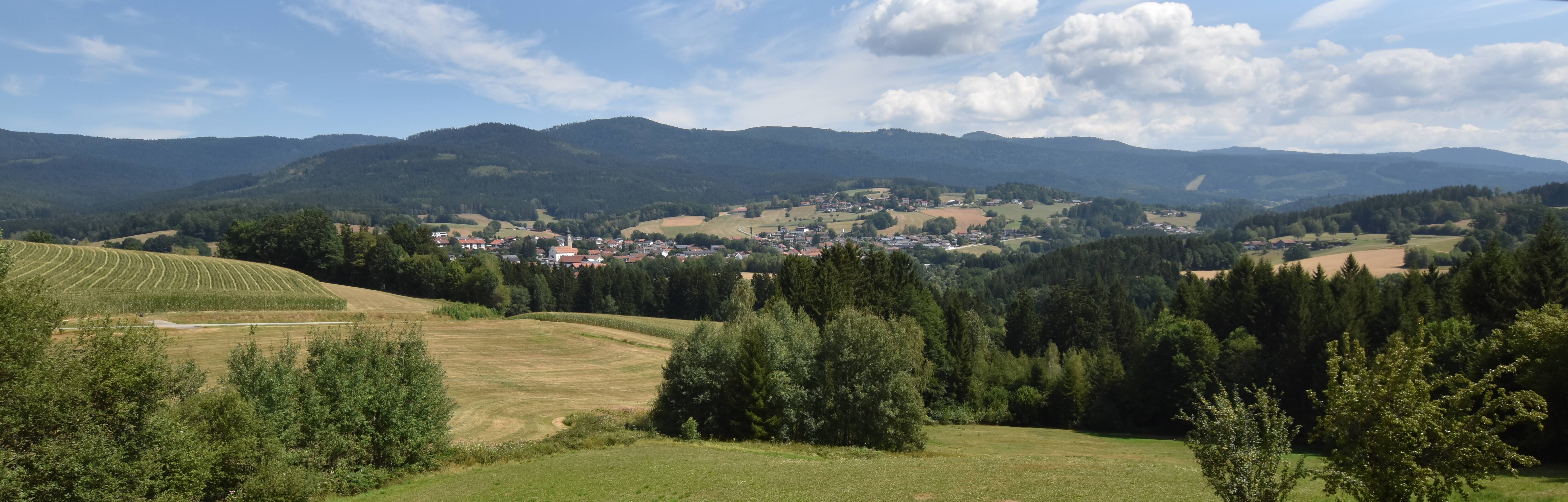 Archiv Foto Webcam Drachselsried / Lesmannsried