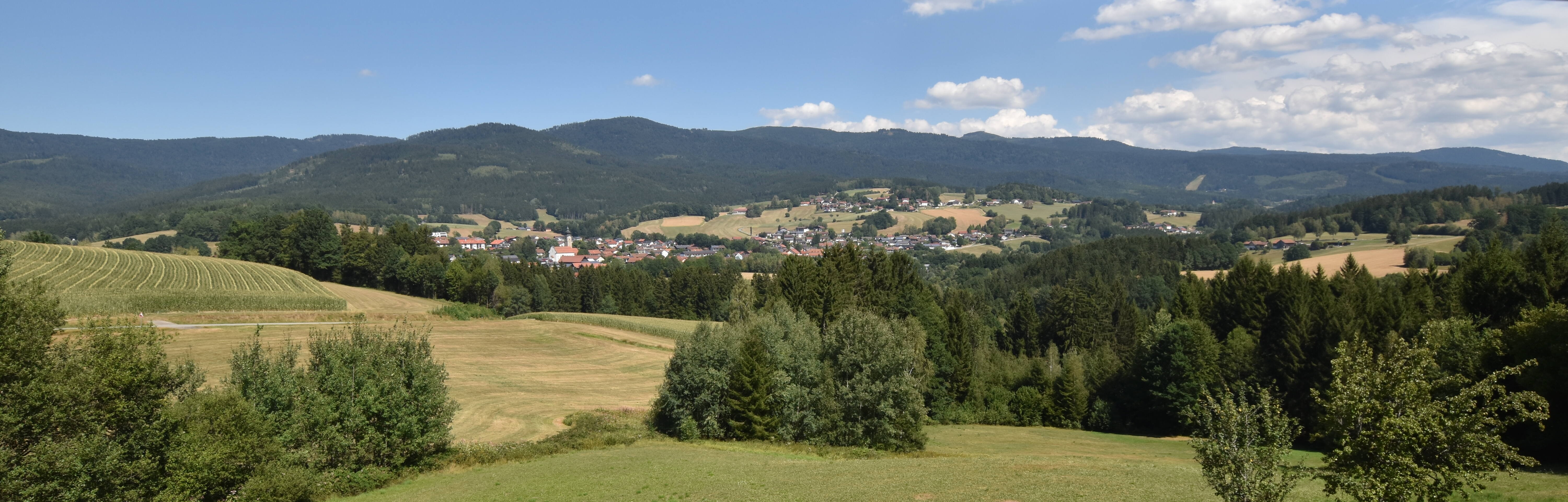 Archiv Foto Webcam Drachselsried / Lesmannsried